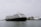 A large cruise ship is sailing on a calm body of water with several buildings and cranes visible in the background. The ship is adorned with multiple decks and features lifeboats and passenger windows along its side.