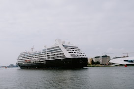 A large cruise ship is sailing on a calm body of water with several buildings and cranes visible in the background. The ship is adorned with multiple decks and features lifeboats and passenger windows along its side.
