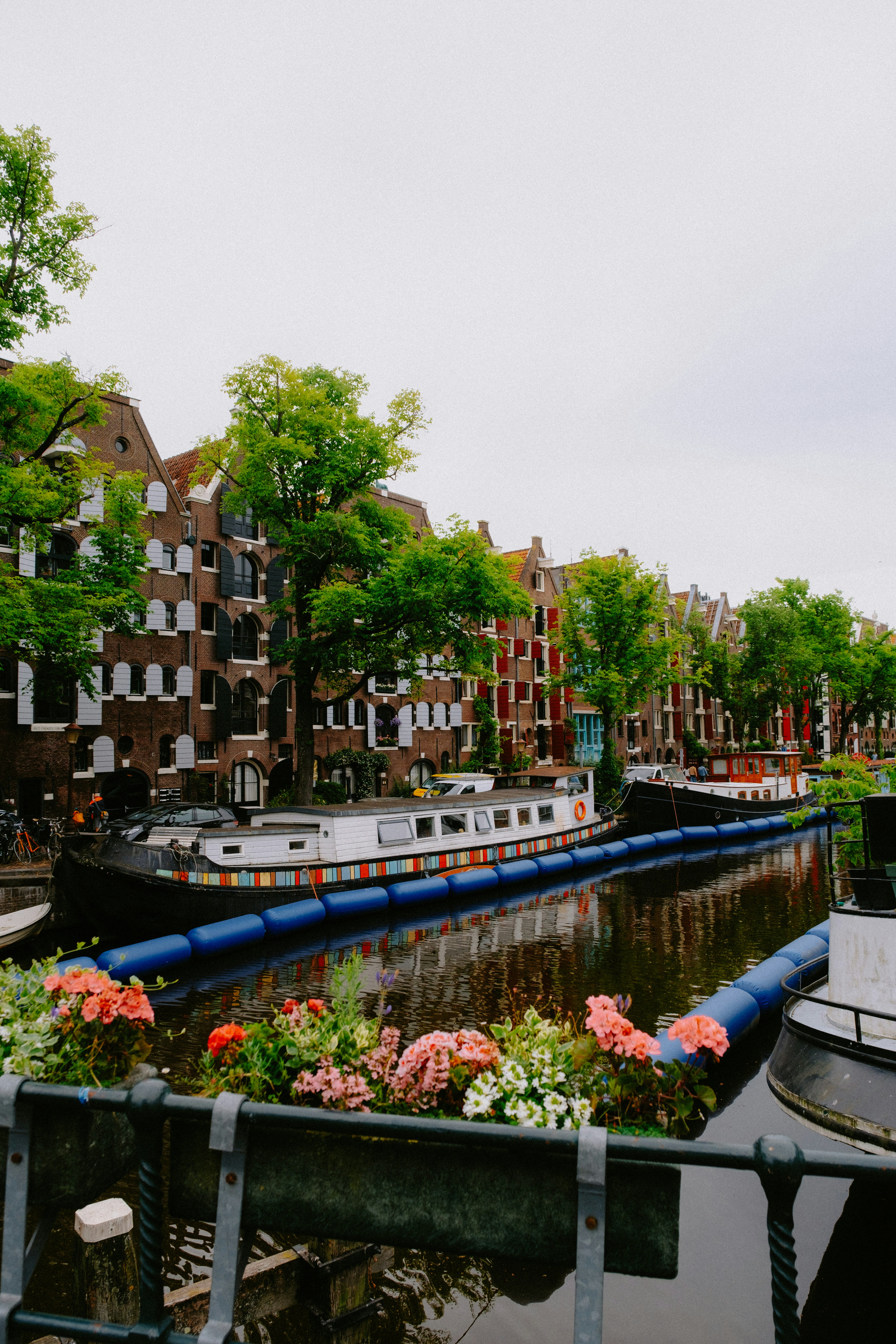 Photo by matreding