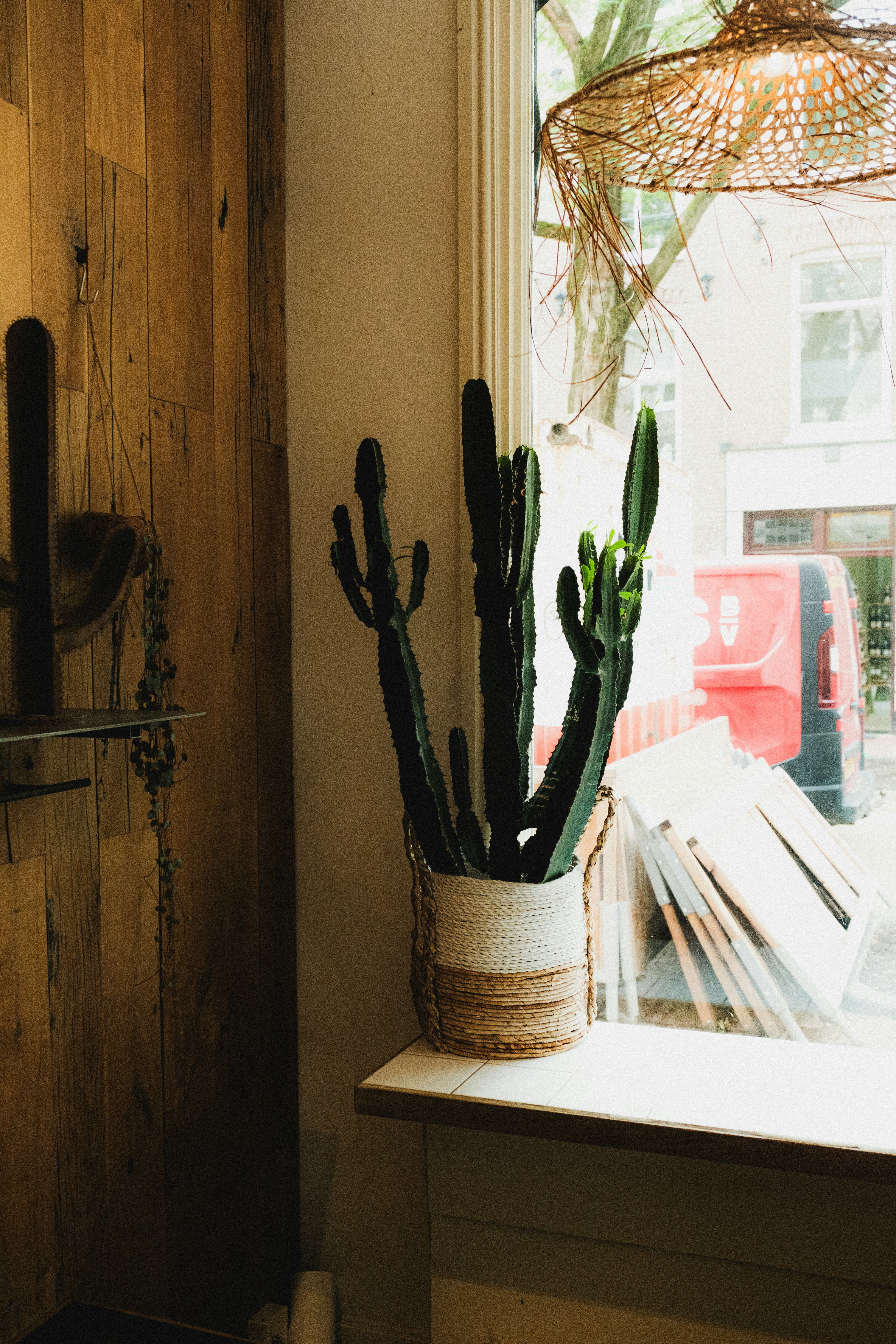 A cactus in a pot sitting on a window sill photo – Free Amsterdam Image ...