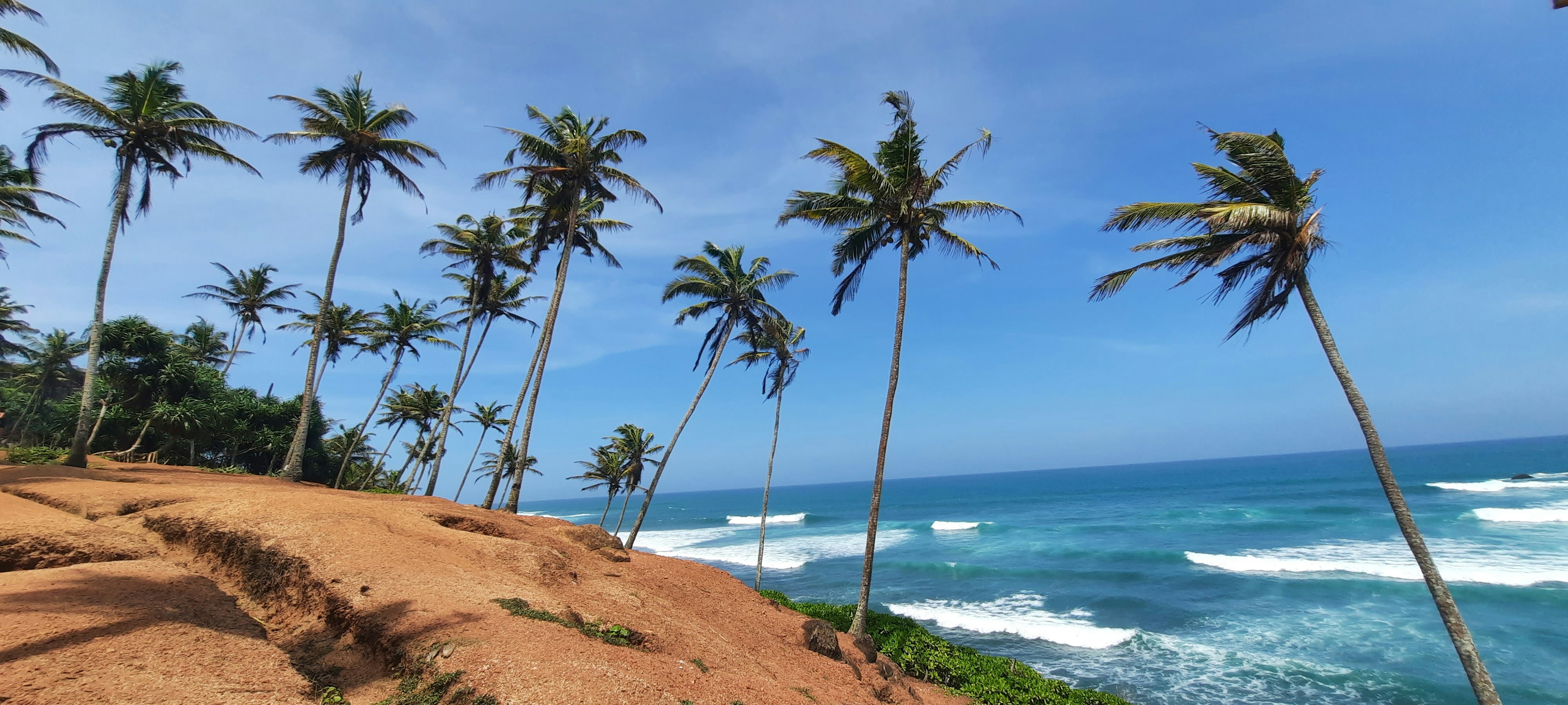 Stay online in the Sri Lanka with a prepaid eSIM from eSIMlii. Instant activation, no roaming charges, and reliable coverage.