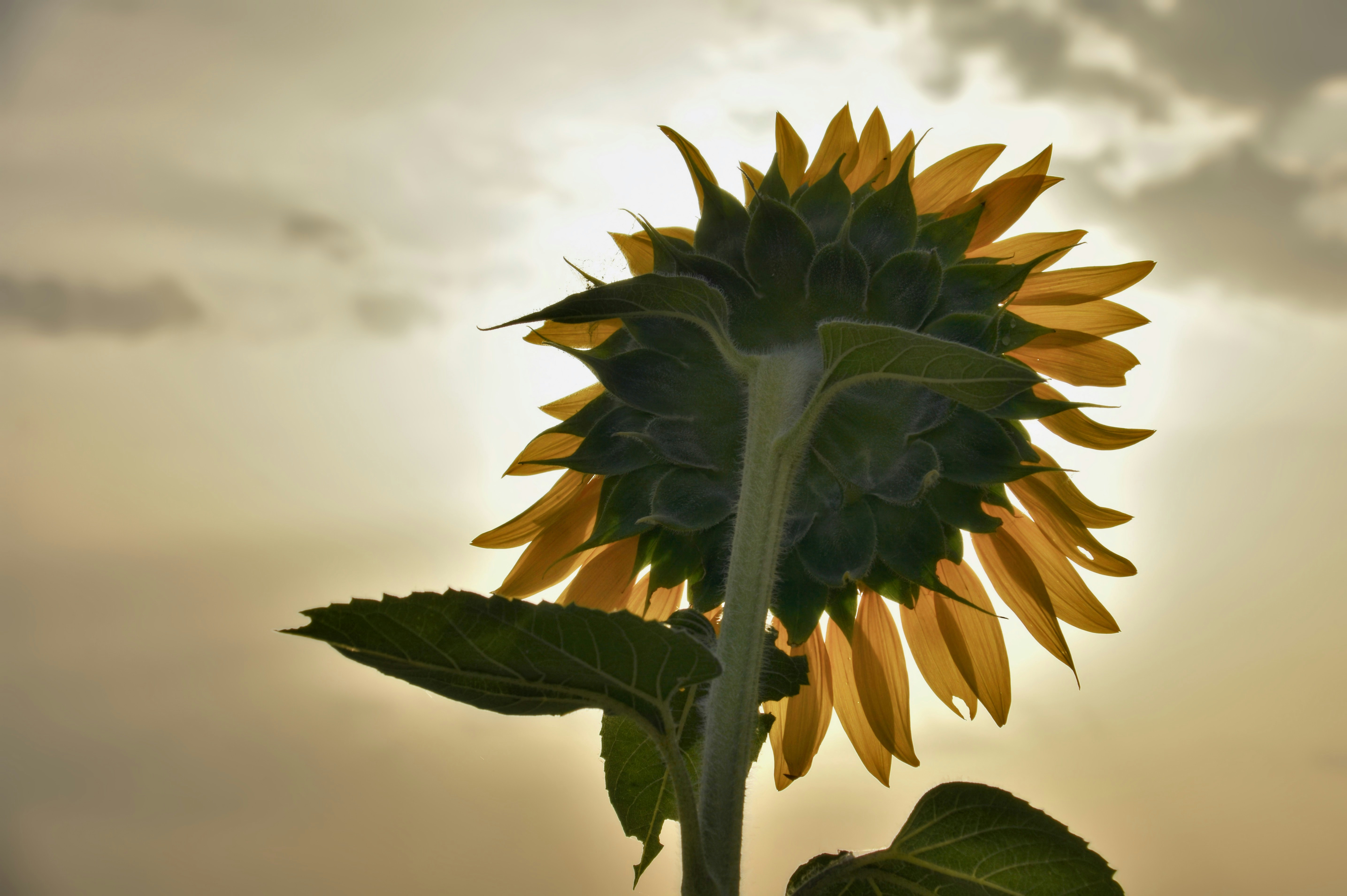 Photo by mariobeducci