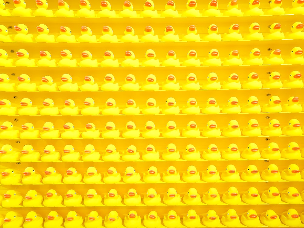 rows of rubber ducks lined up against a yellow wall