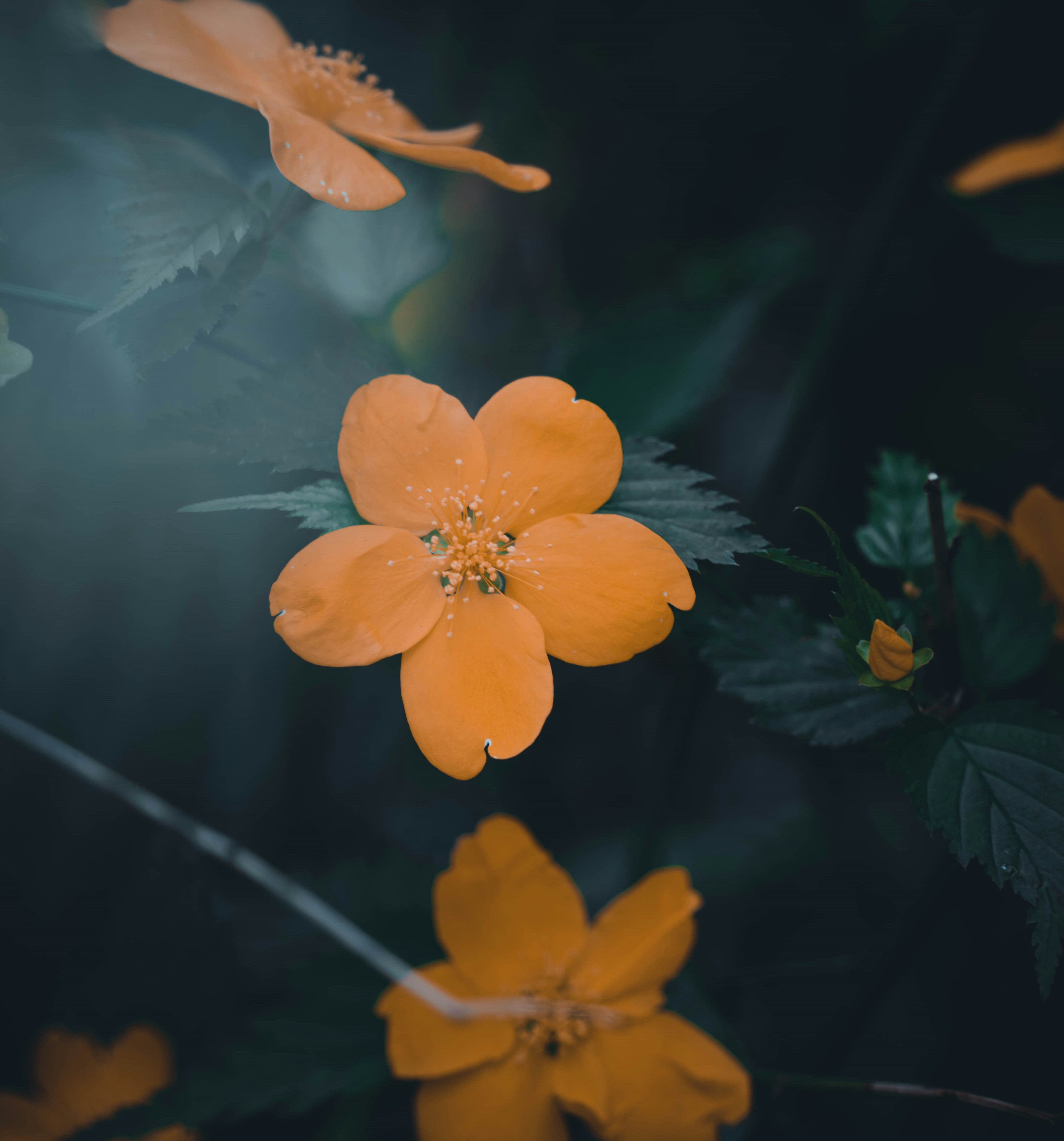 Photo by wanderingbo