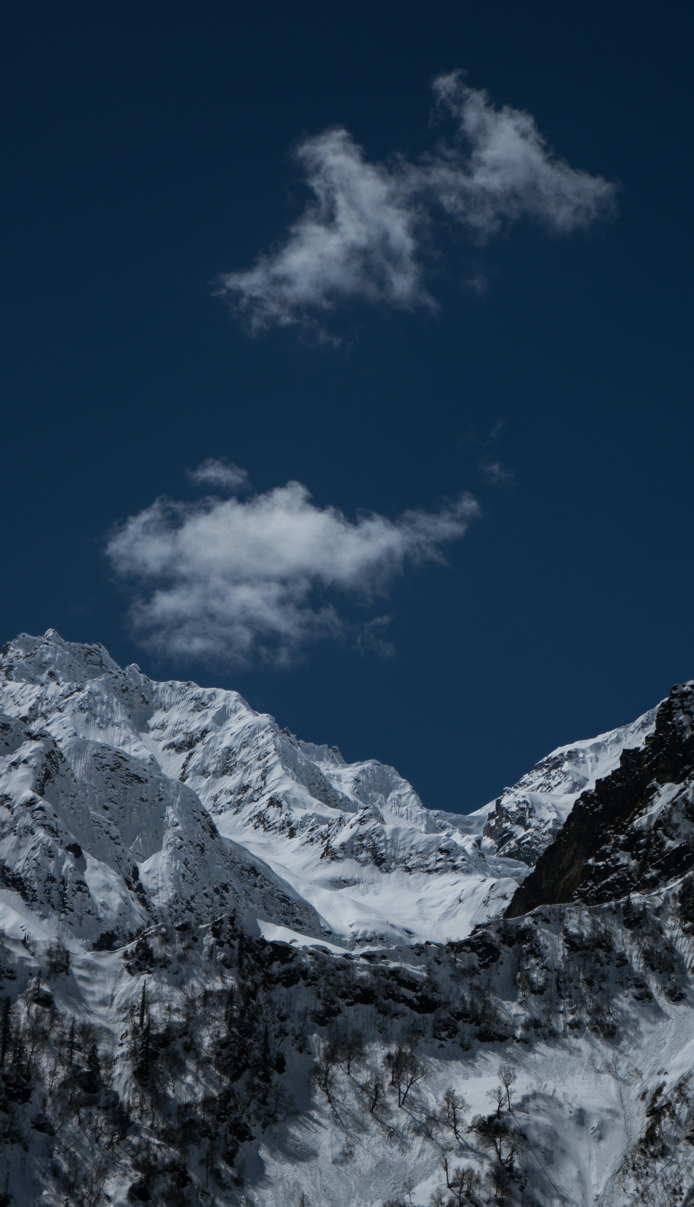 Photo by photographsbyashish