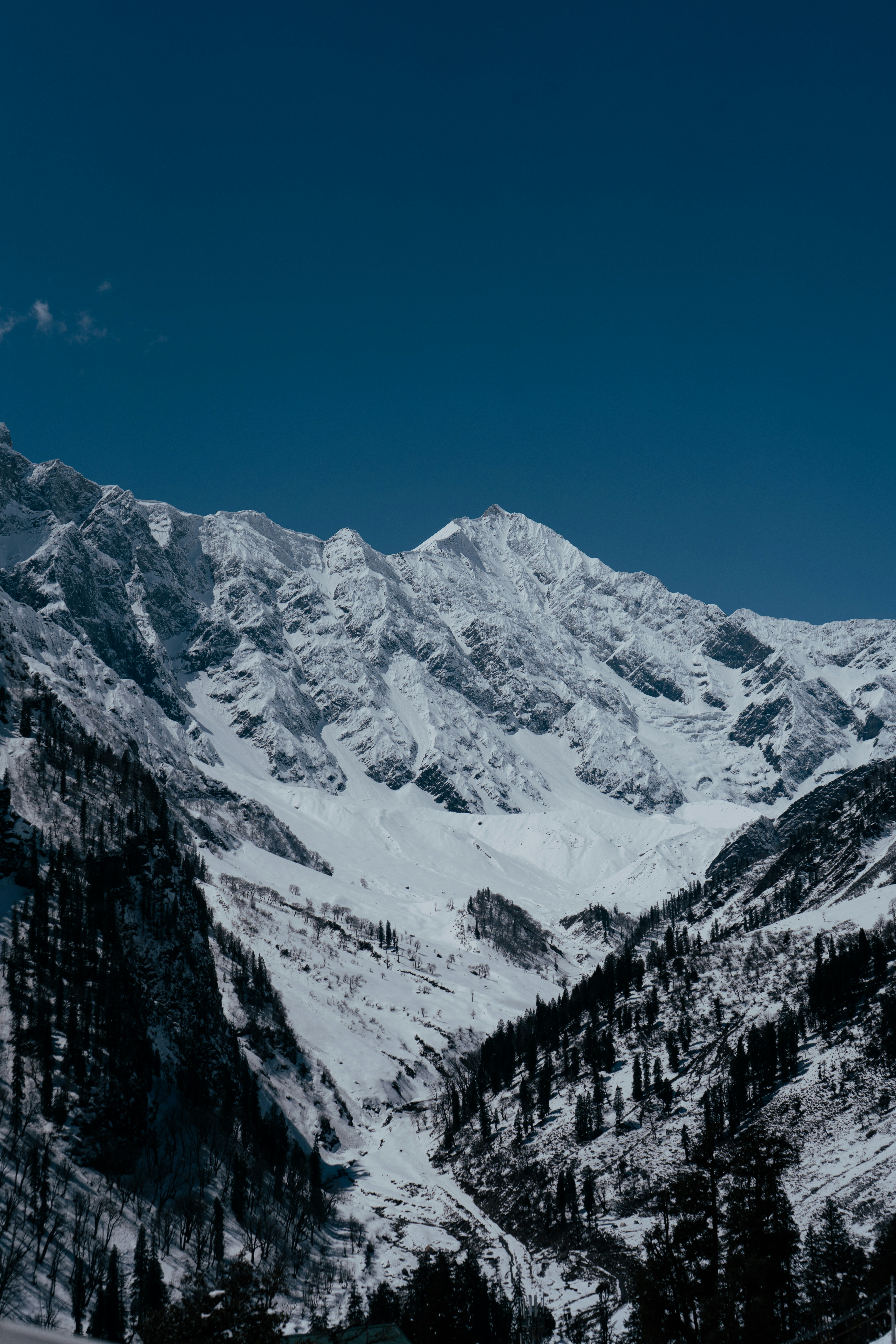 Photo by photographsbyashish