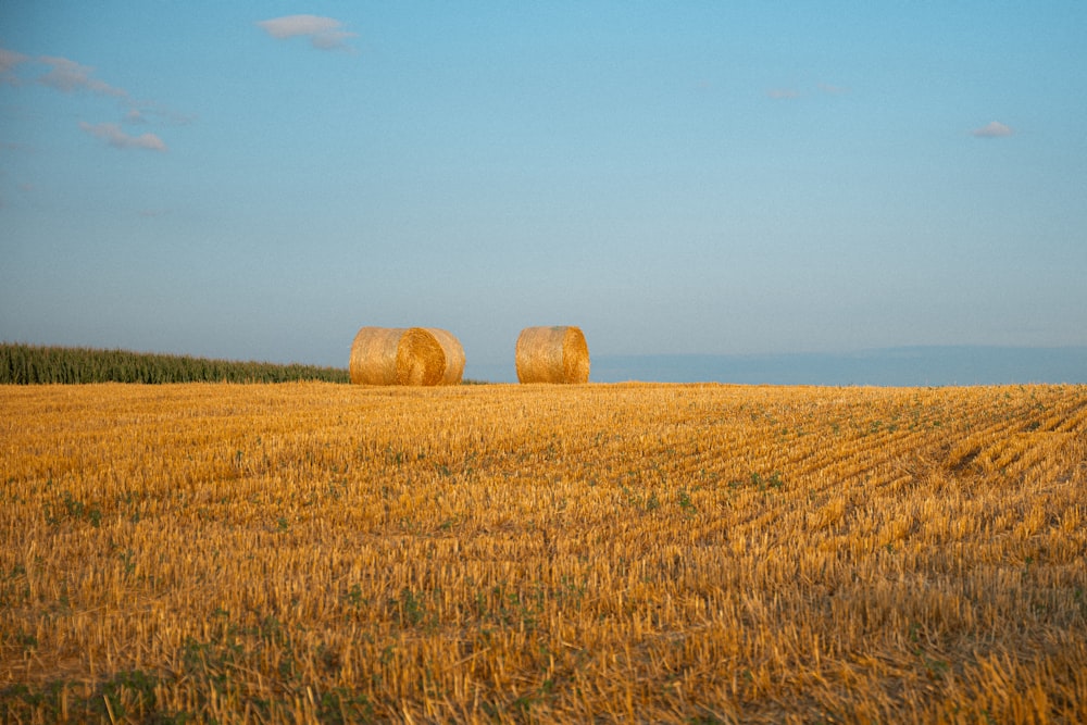two bales of hay in a large field