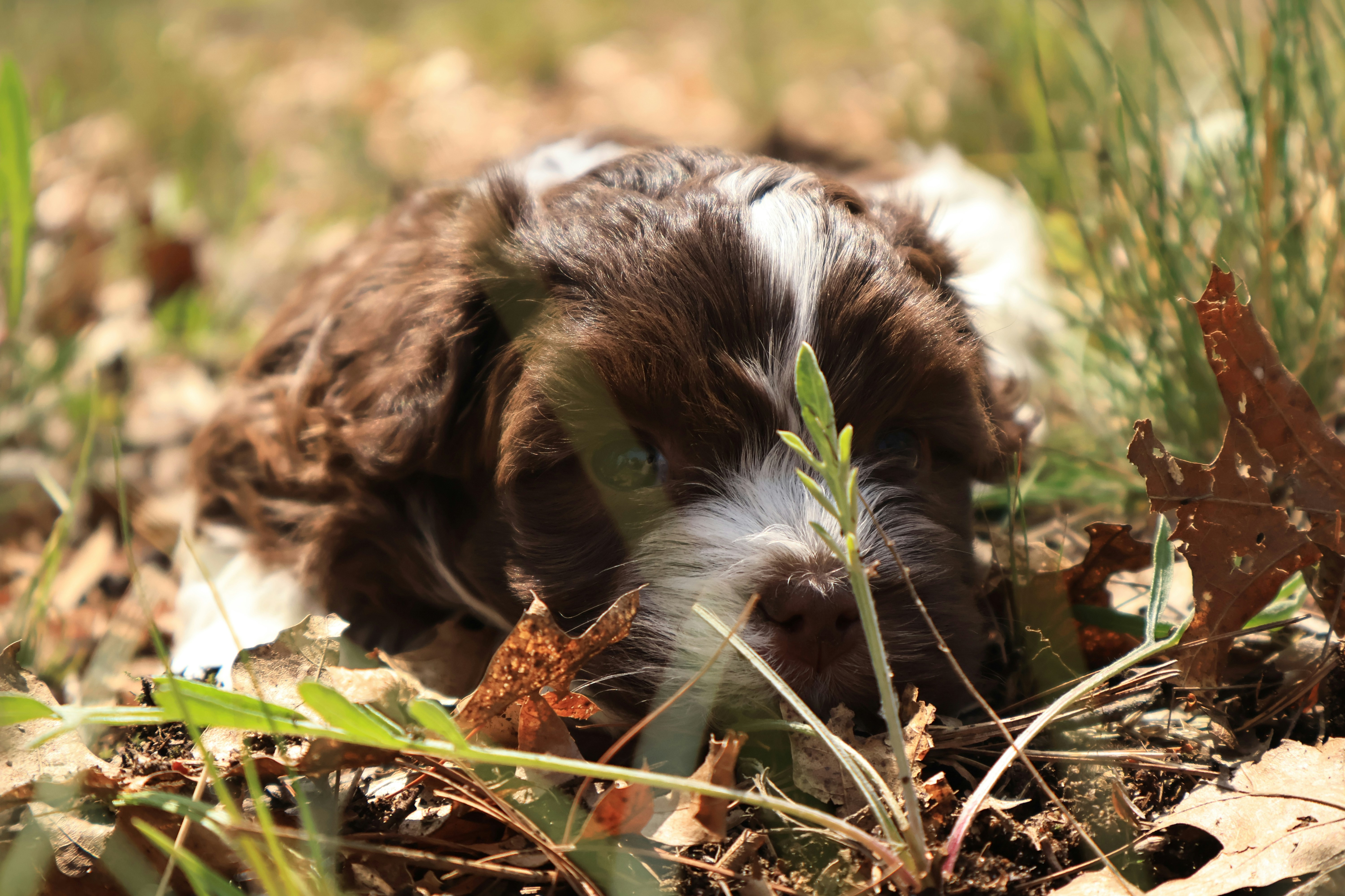 Photo by naturelensephotographer