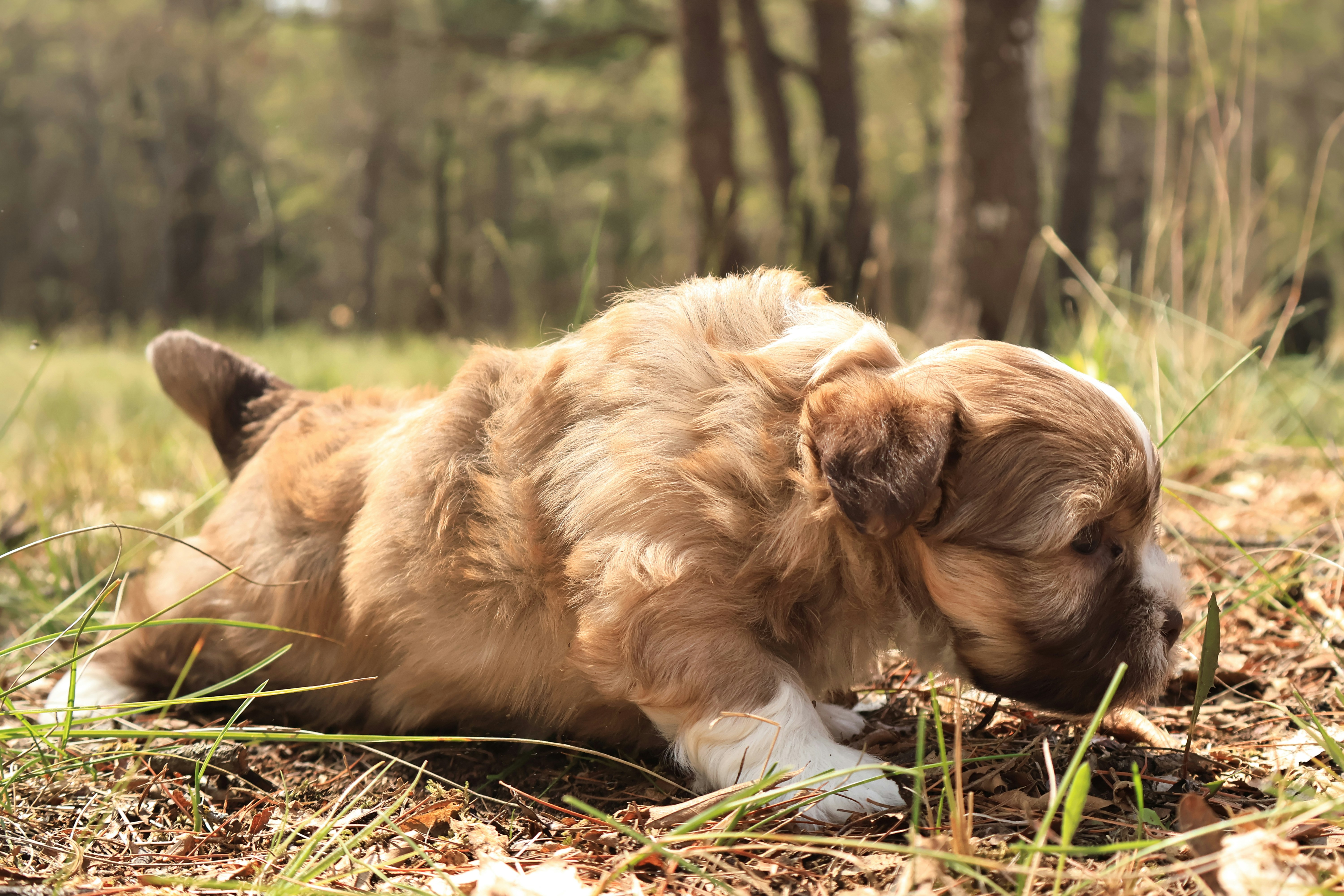 Photo by naturelensephotographer