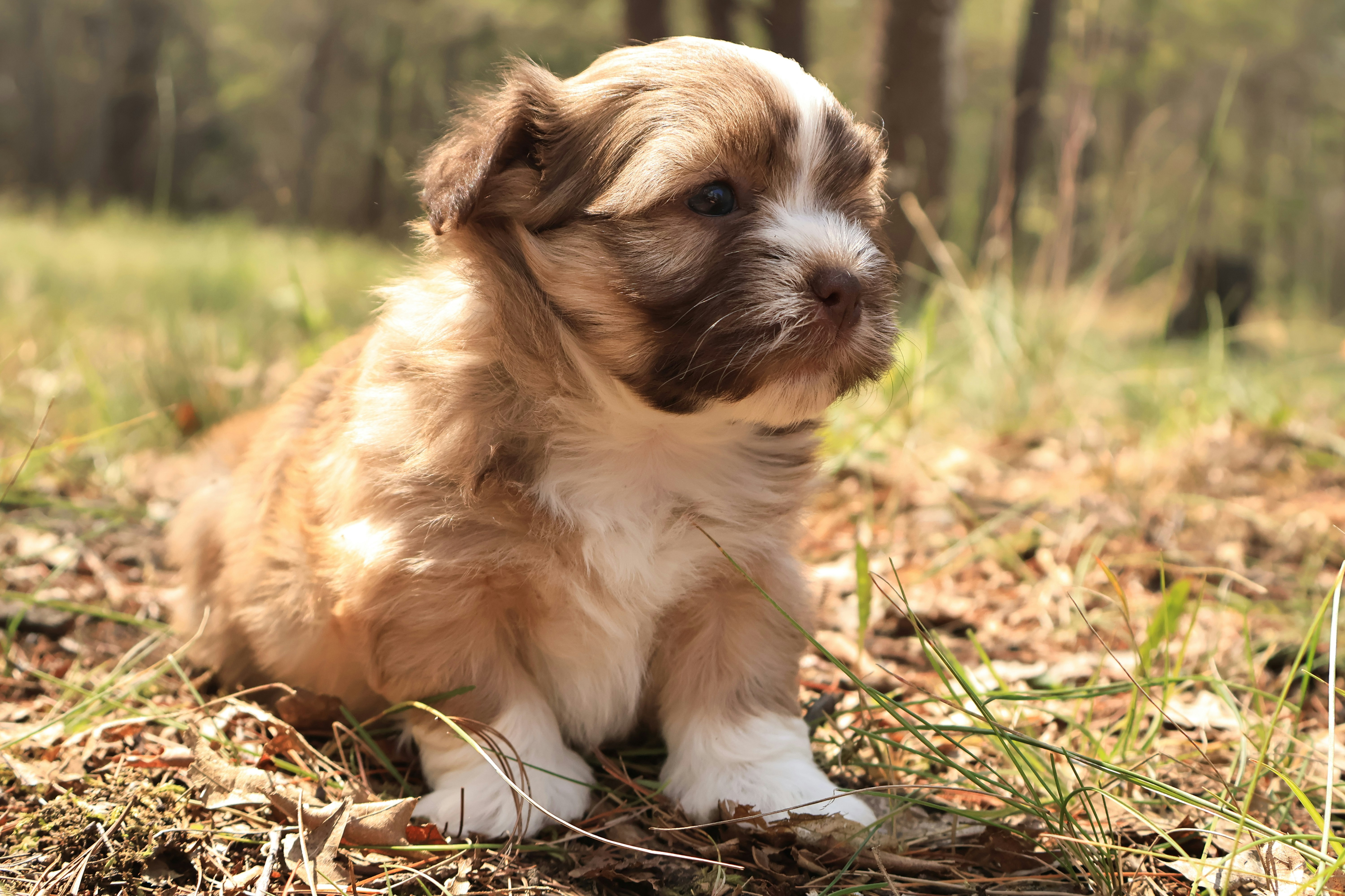 Photo by naturelensephotographer