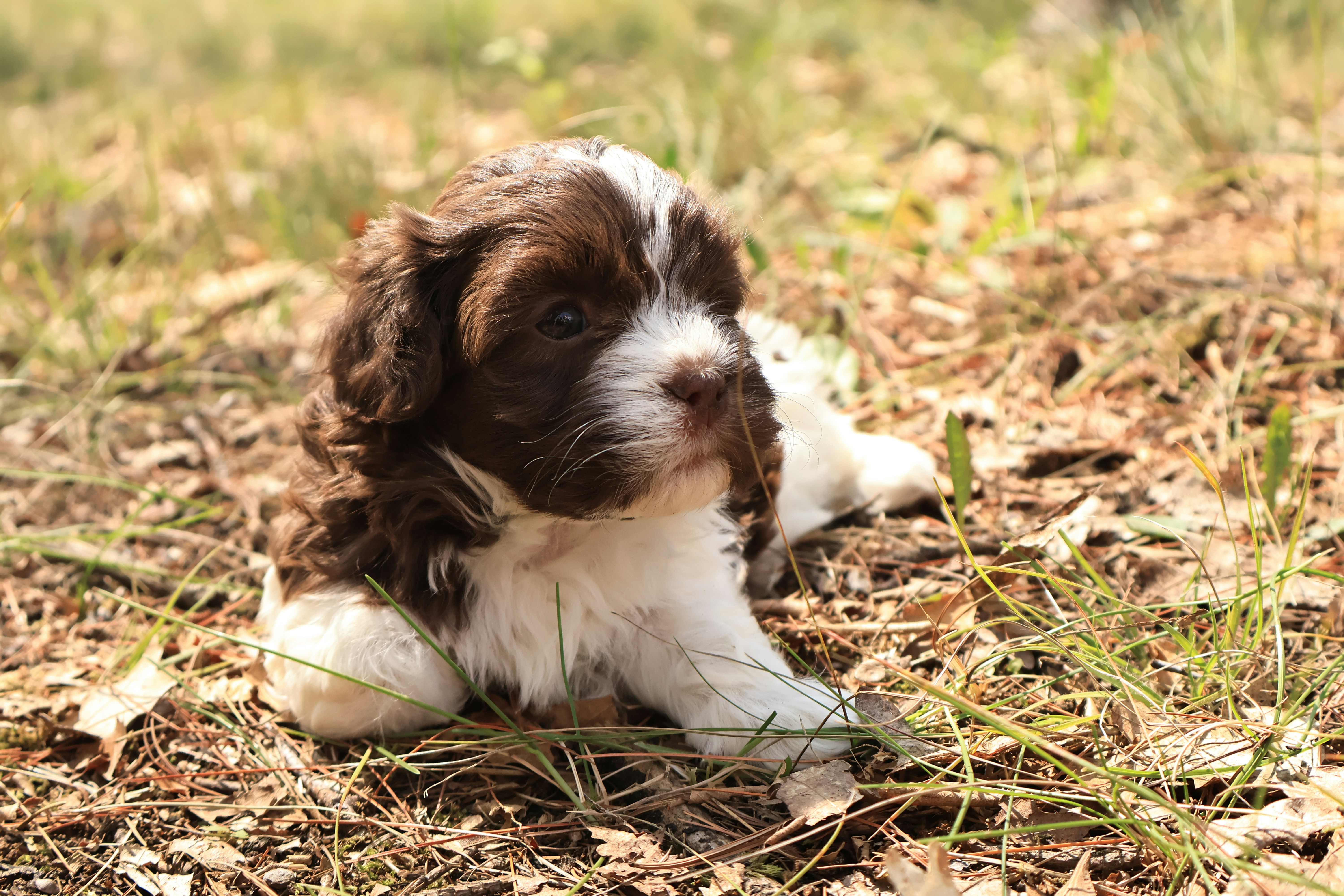 Photo by naturelensephotographer