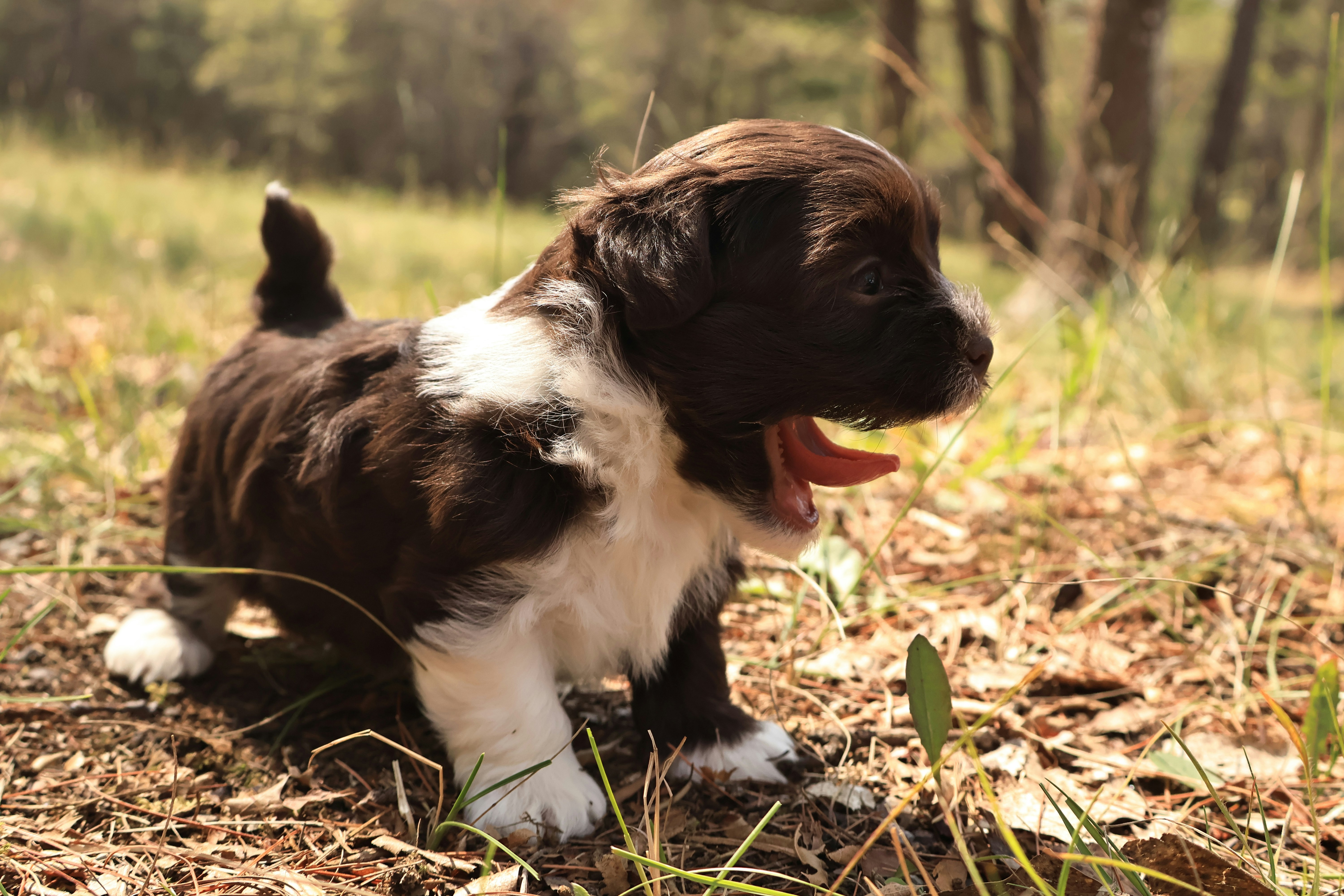 Photo by naturelensephotographer