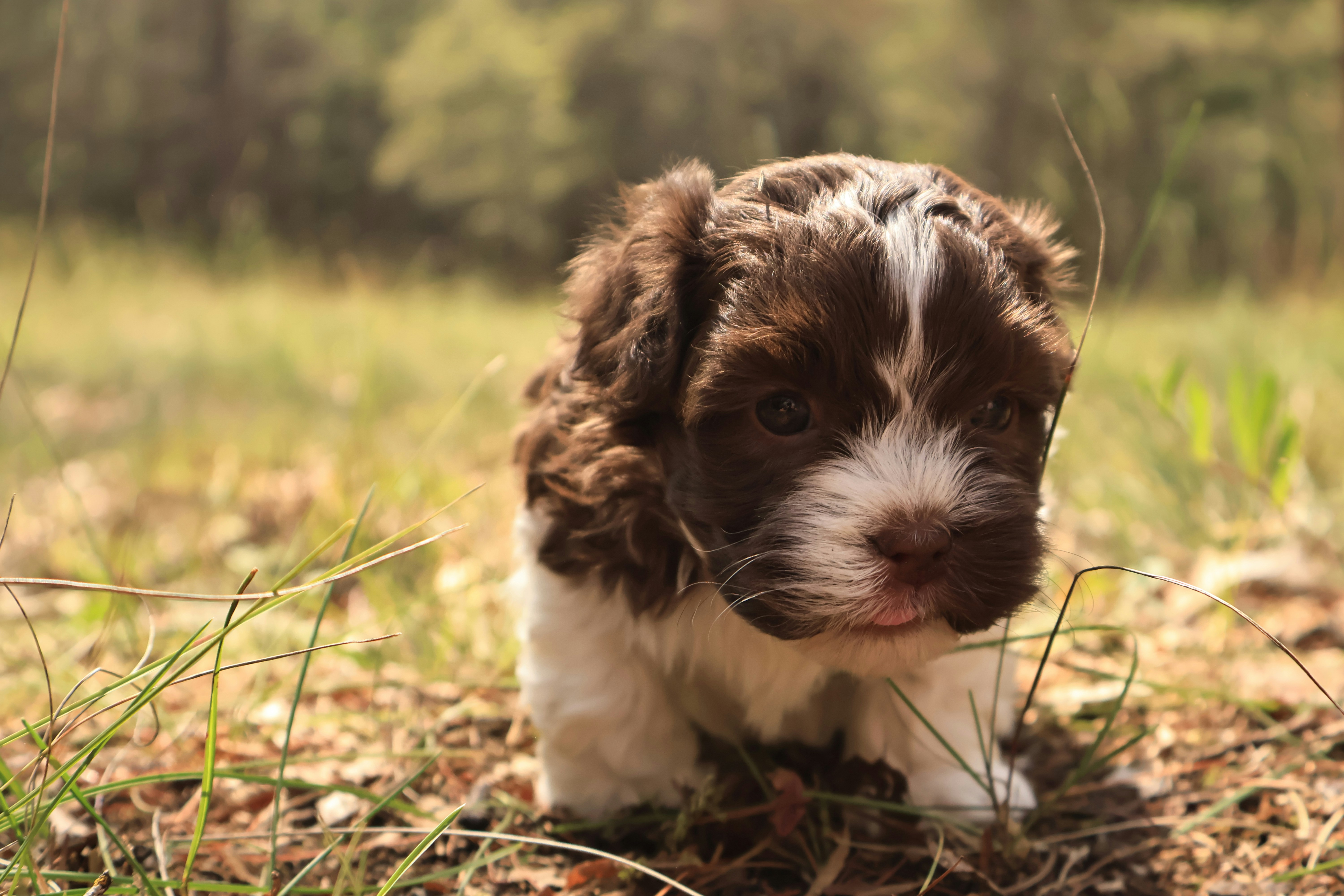 Photo by naturelensephotographer