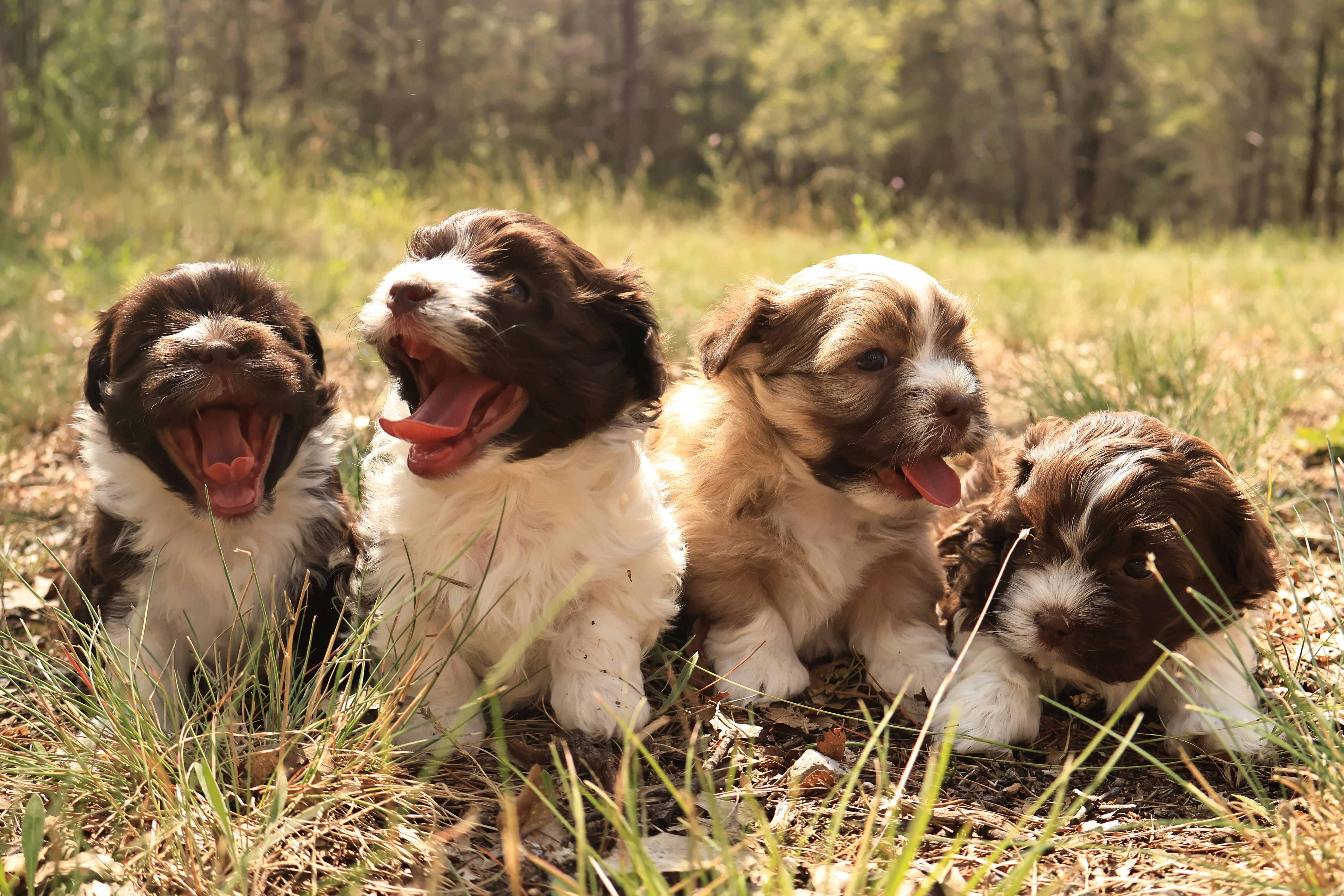 Photo by naturelensephotographer