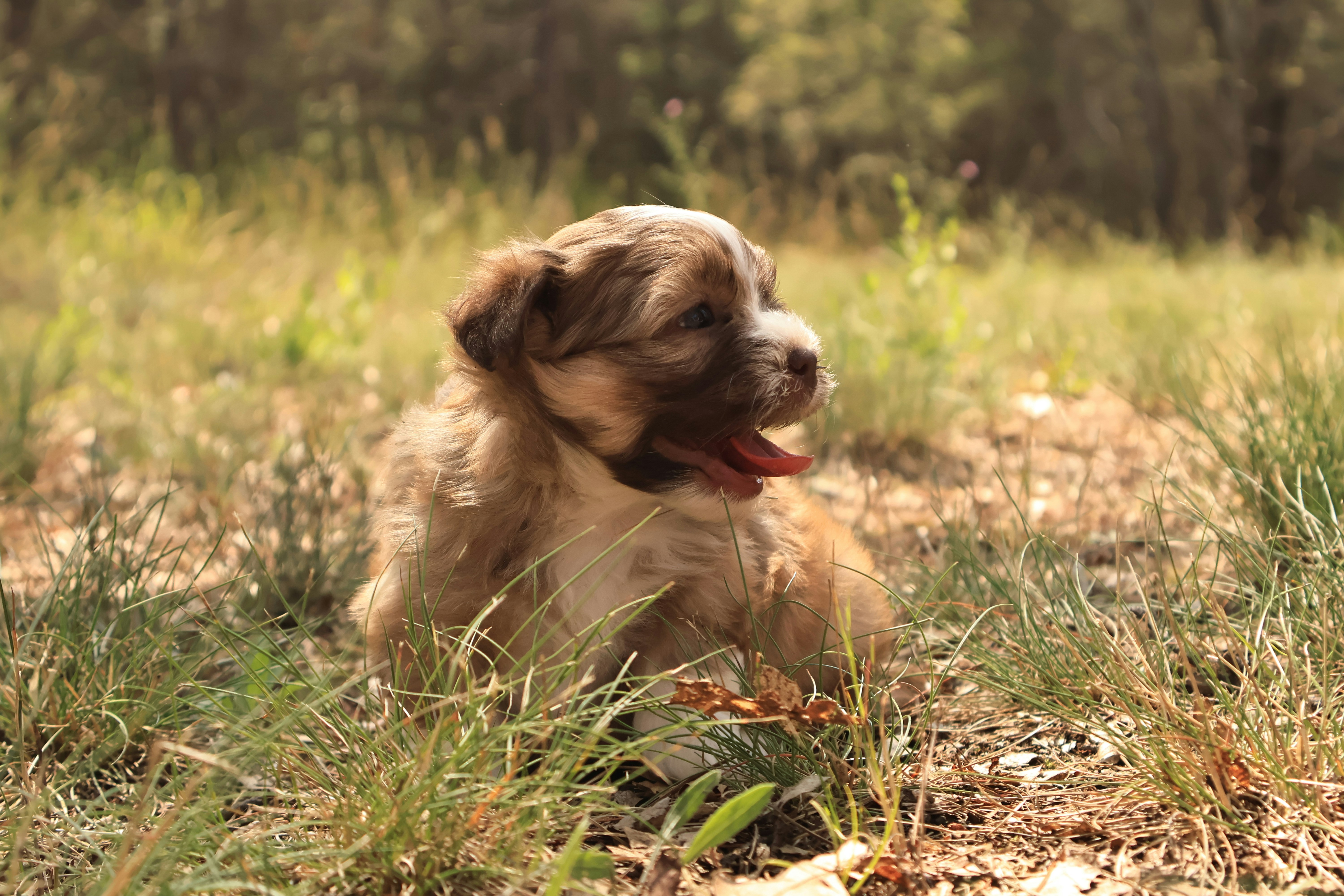 Photo by naturelensephotographer