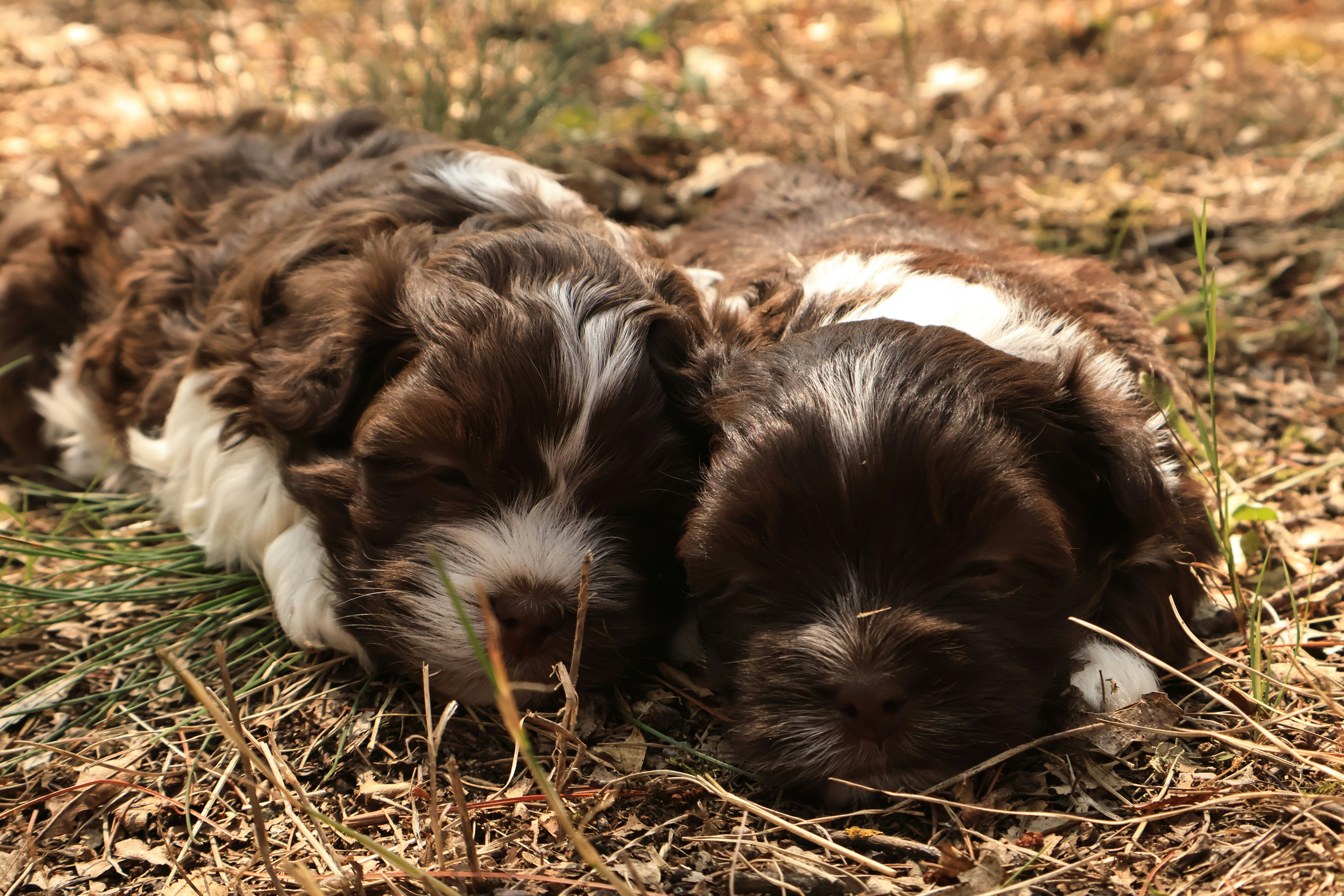 Photo by naturelensephotographer