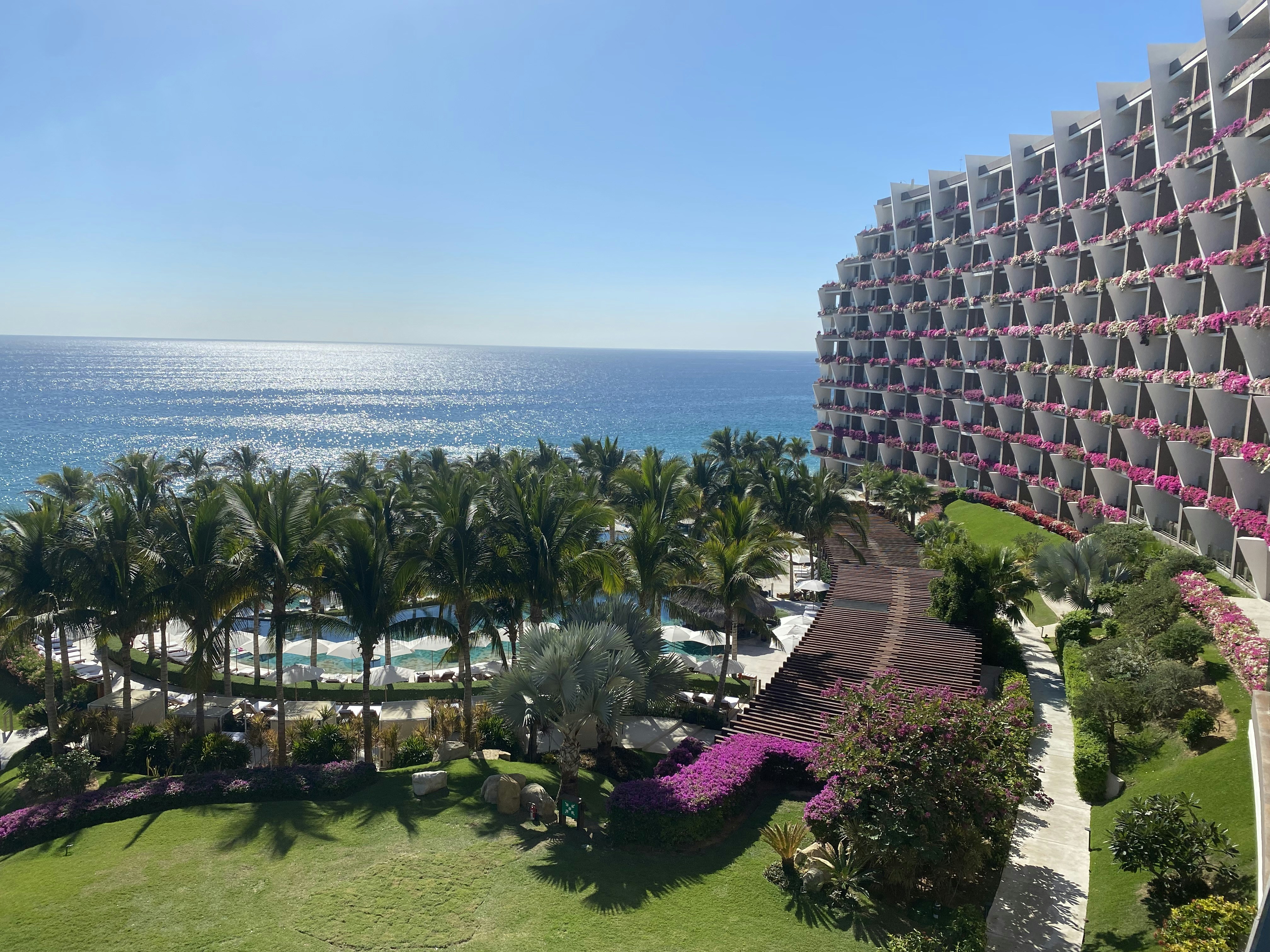 Donald Trump Crashes Wedding at Mar-a-Lago: A Hilarious Encounter