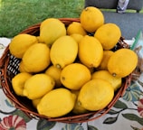 A basket filled with bright lemons freshly picked from an Indonesian orchard.