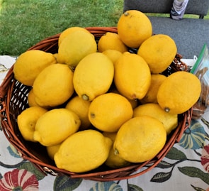 Baskets filled with freshly picked lemons in a rustic outdoor setting.