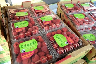 Several clear plastic containers filled with fresh red raspberries are stacked in cardboard boxes. Labels on the containers indicate the brand as Driscoll's and mention that the raspberries are organic.