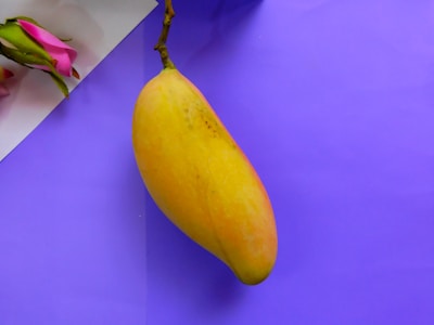 A single yellow mango with slight reddish hues lies on a purple background. To the side, partially visible, are a couple of pink rosebuds with green leaves on a white surface. The composition contrasts the vibrant colors of the mango and roses against the purple backdrop.