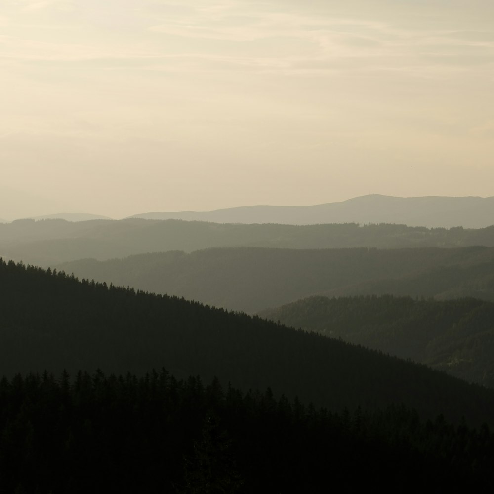 a view of a mountain range with trees in the foreground