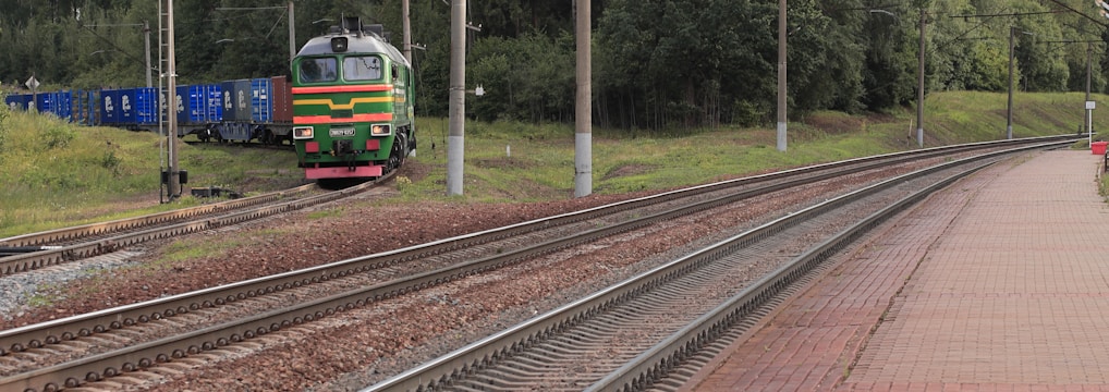 a train traveling down train tracks next to a forest