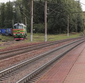 a train traveling down train tracks next to a forest