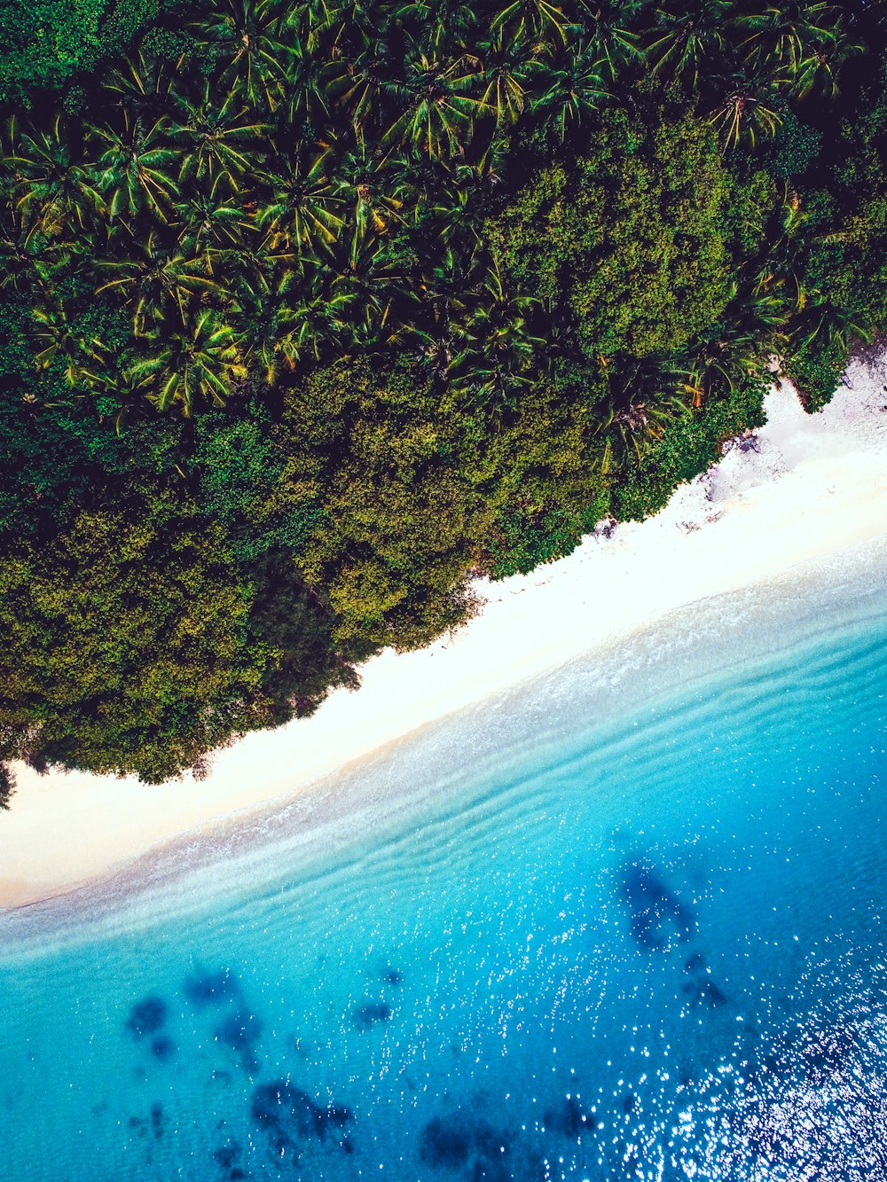 an aerial view of a tropical island with a white sand beach