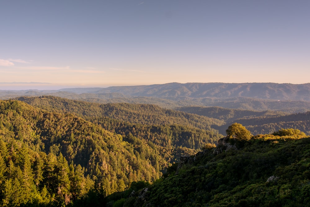 a view of the mountains and trees from the top of a hill