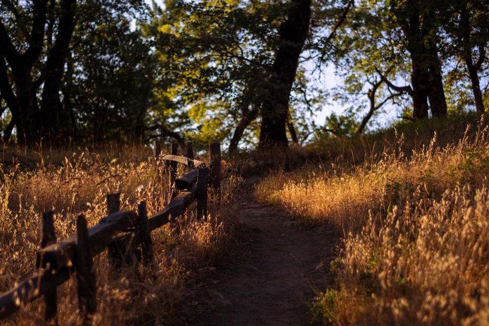 a wooden fence in the middle of a field