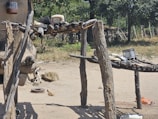 A rustic, makeshift structure made of wooden logs and branches stands on sandy ground. Various household items, including pots and a broom, are placed on it. A small animal, possibly a goat, is seen in the background near additional logs and a wall with dark markings. Trees and vegetation can be observed further back, suggesting an outdoor rural setting.