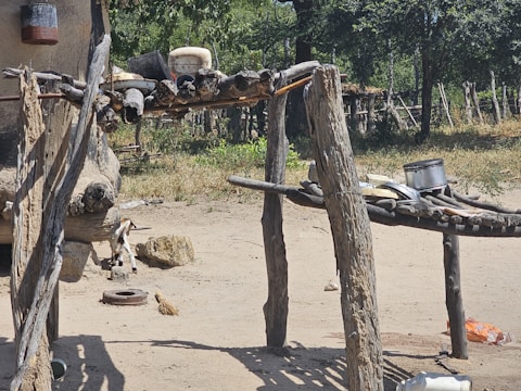A rustic, makeshift structure made of wooden logs and branches stands on sandy ground. Various household items, including pots and a broom, are placed on it. A small animal, possibly a goat, is seen in the background near additional logs and a wall with dark markings. Trees and vegetation can be observed further back, suggesting an outdoor rural setting.