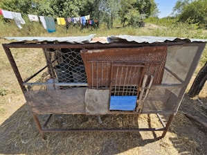 A makeshift outdoor chicken coop constructed from metal and wire mesh, with a corrugated metal roof. The coop is set on dirt ground, and there are clothes hanging on a line in the background. Trees and shrubs are visible in the rural setting.