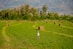 a bird standing in a field with bales of hay