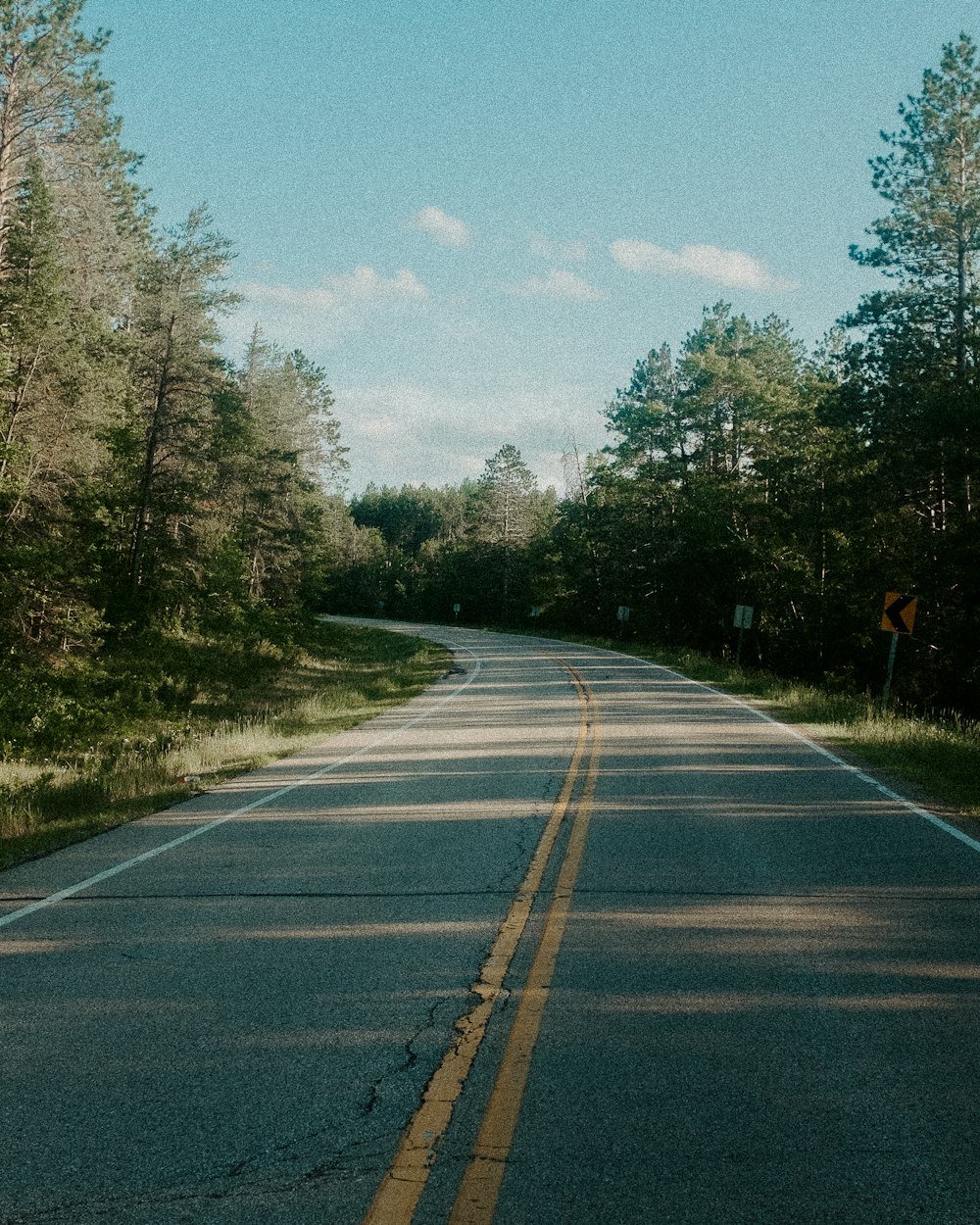 an empty road in the middle of a forest