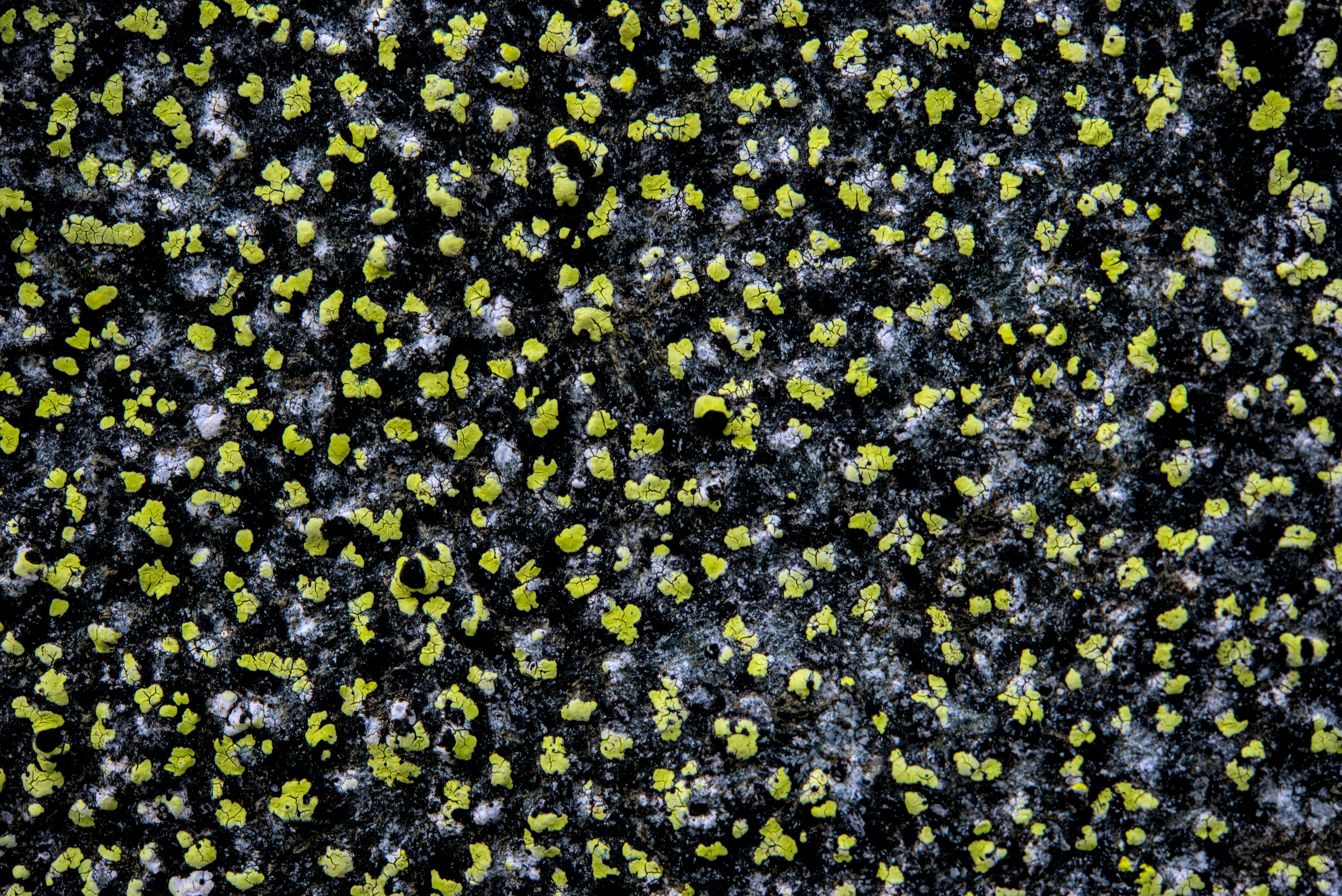 Micrometeorites and the Origins of Life (image credits: unsplash)