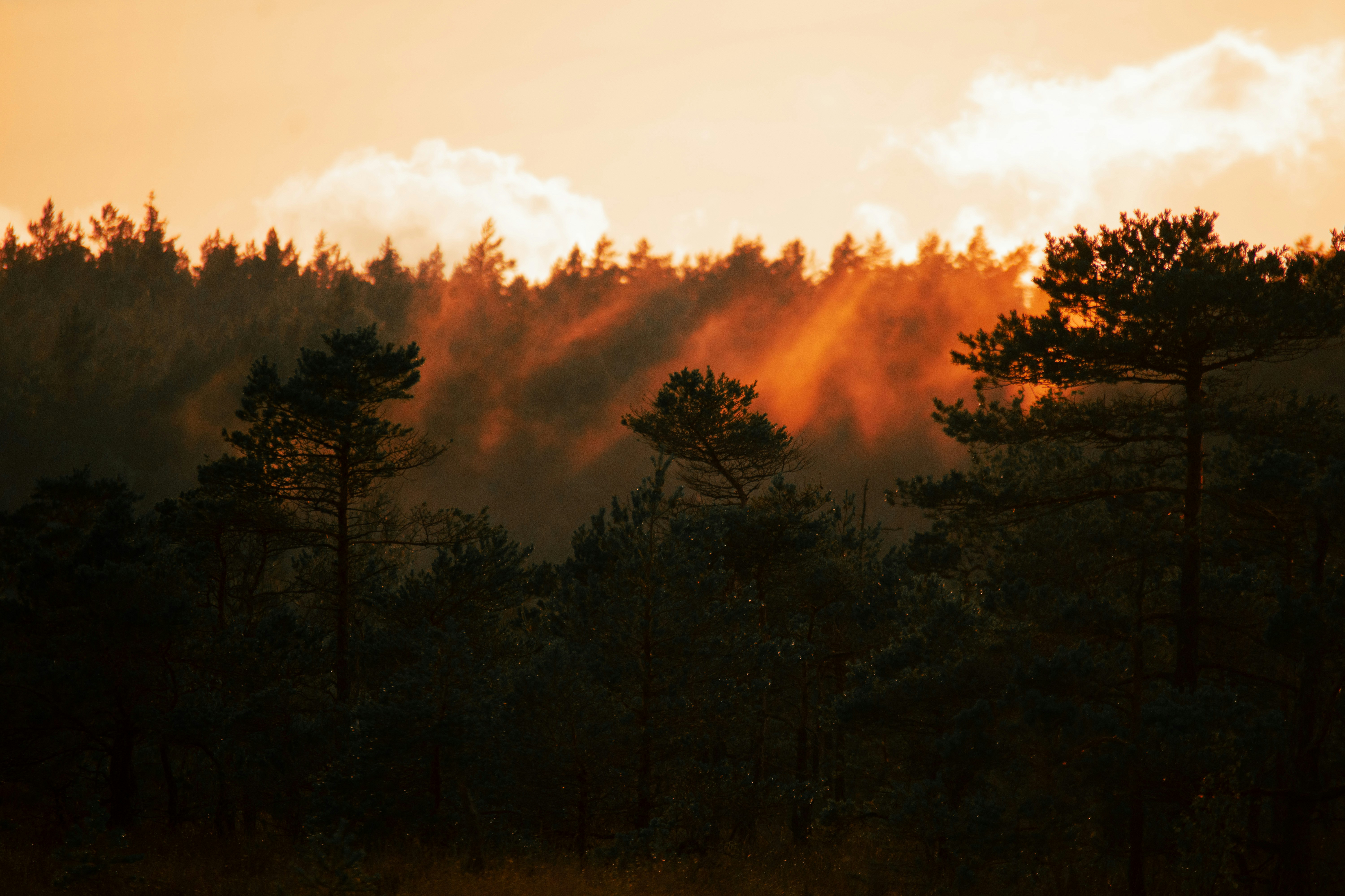 The Future of the Western Landscape (image credits: unsplash)