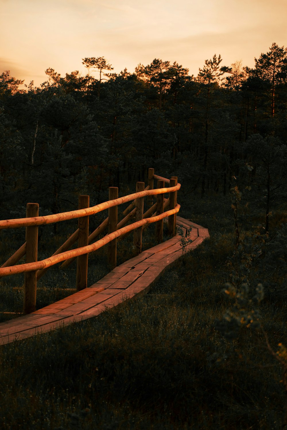 a wooden bridge in a grassy area with trees in the background