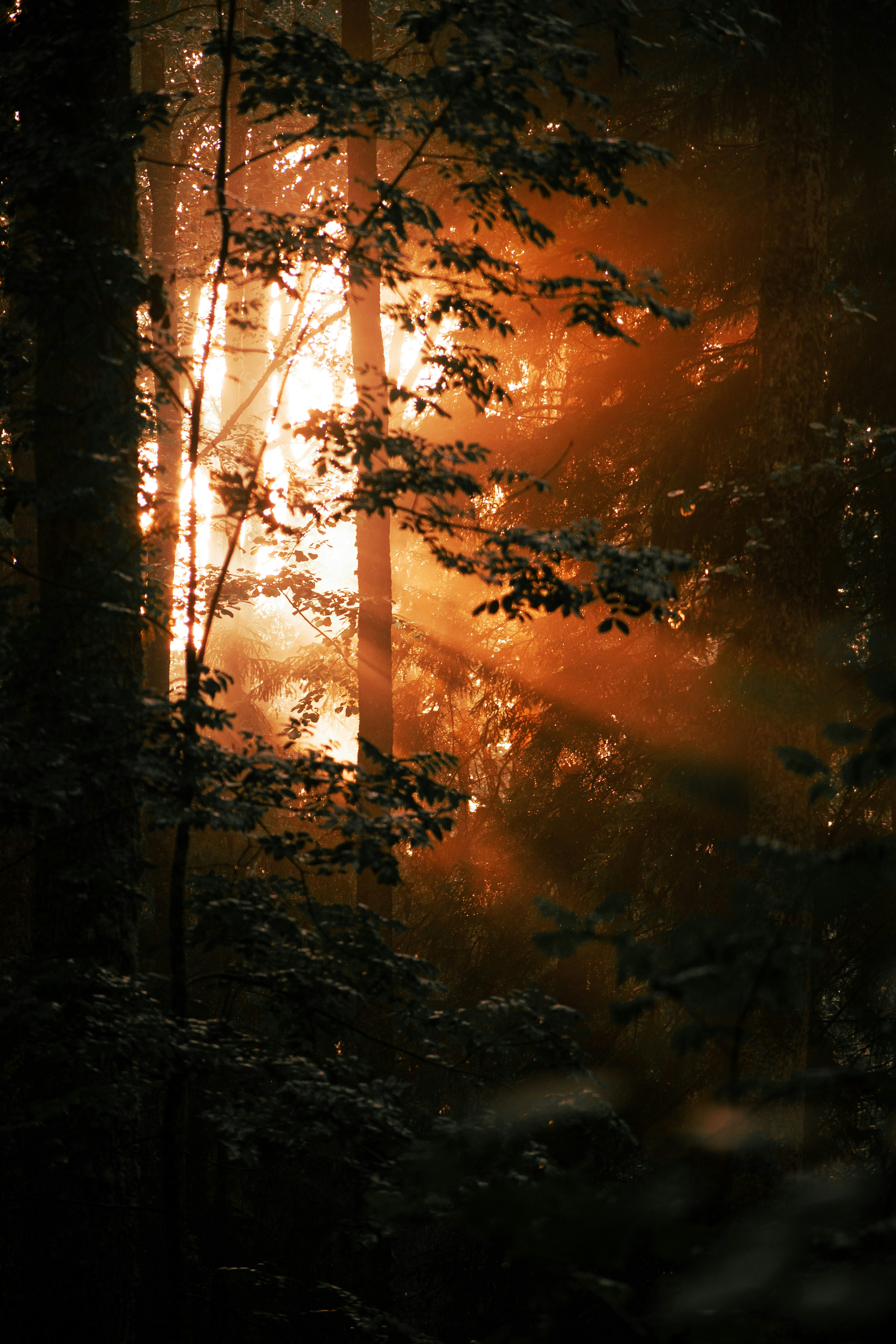 Photo by christina_kozak