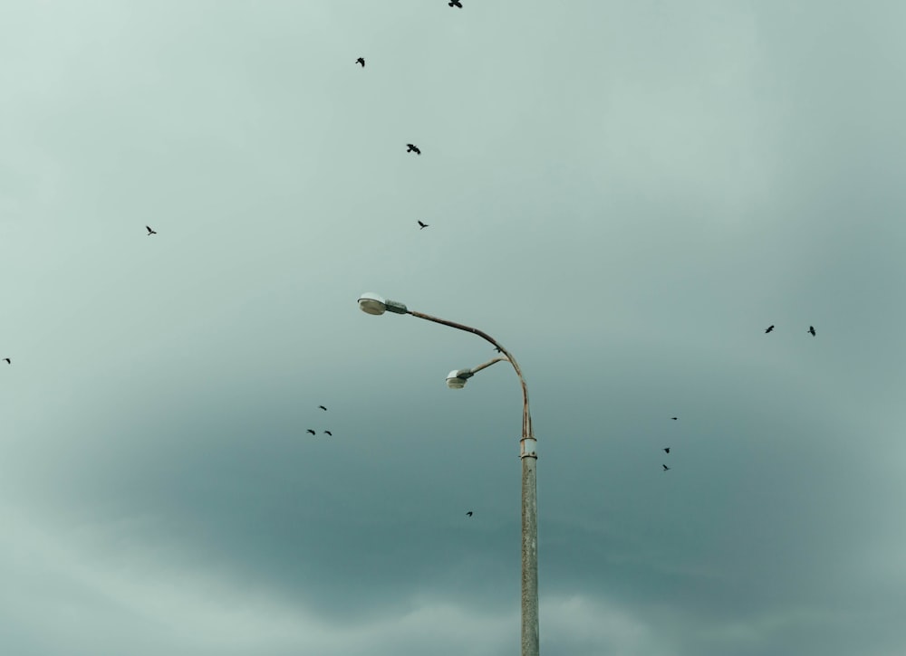 a street light with birds flying around it