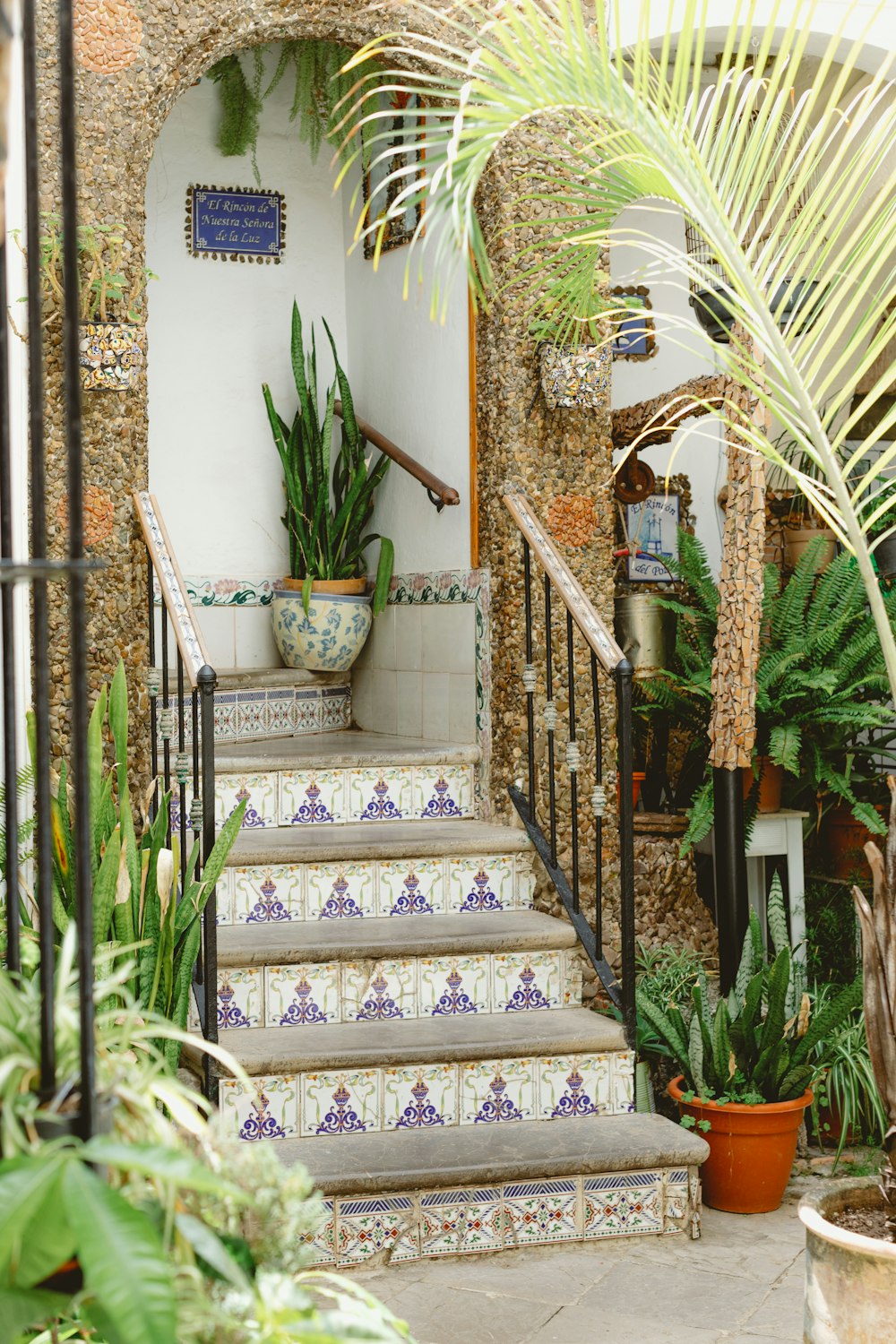 a set of stairs leading to a potted plant