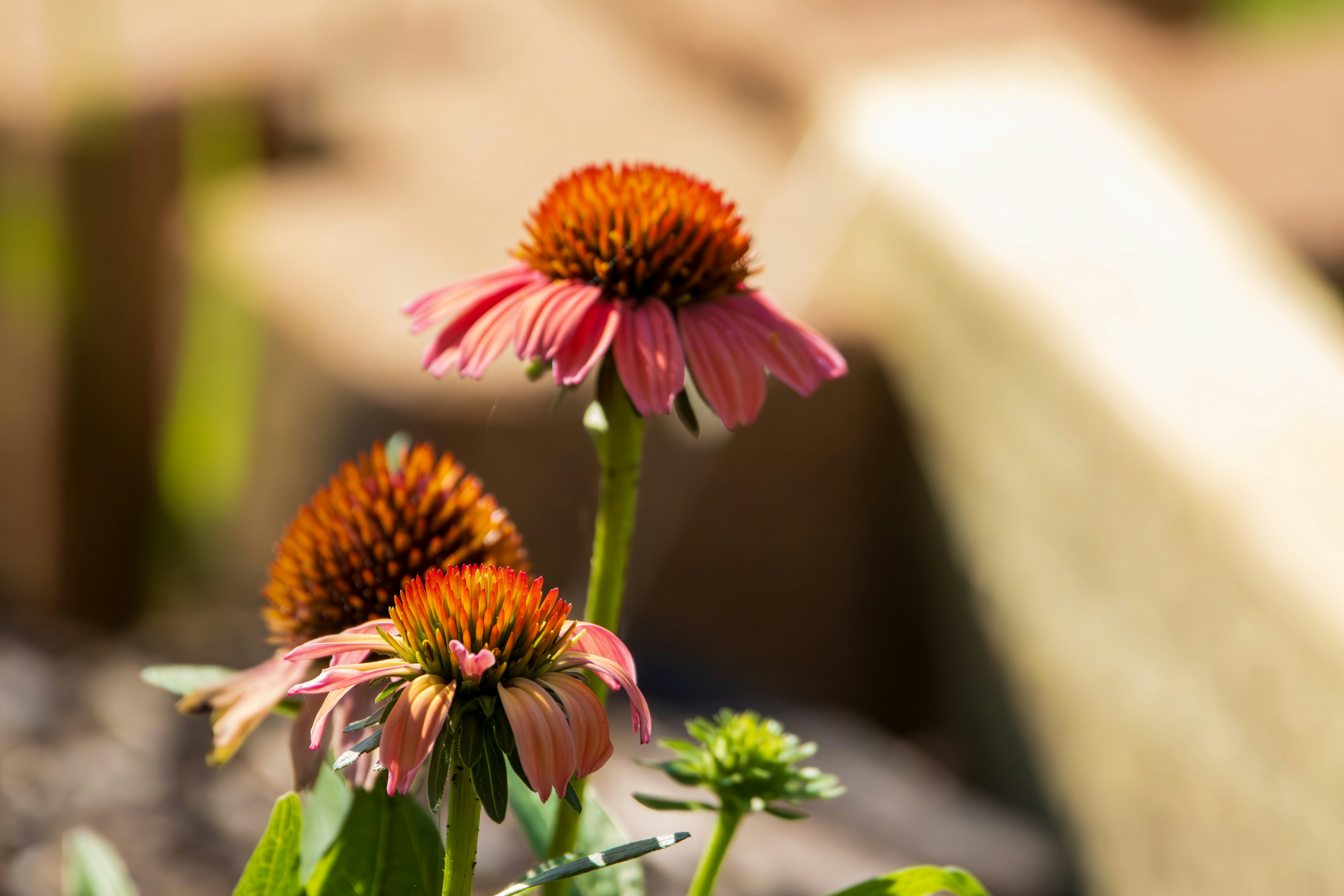 Photo by bmooney1964