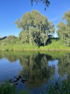 A serene riverside scene with sacred triveni trees standing tall against the sky.