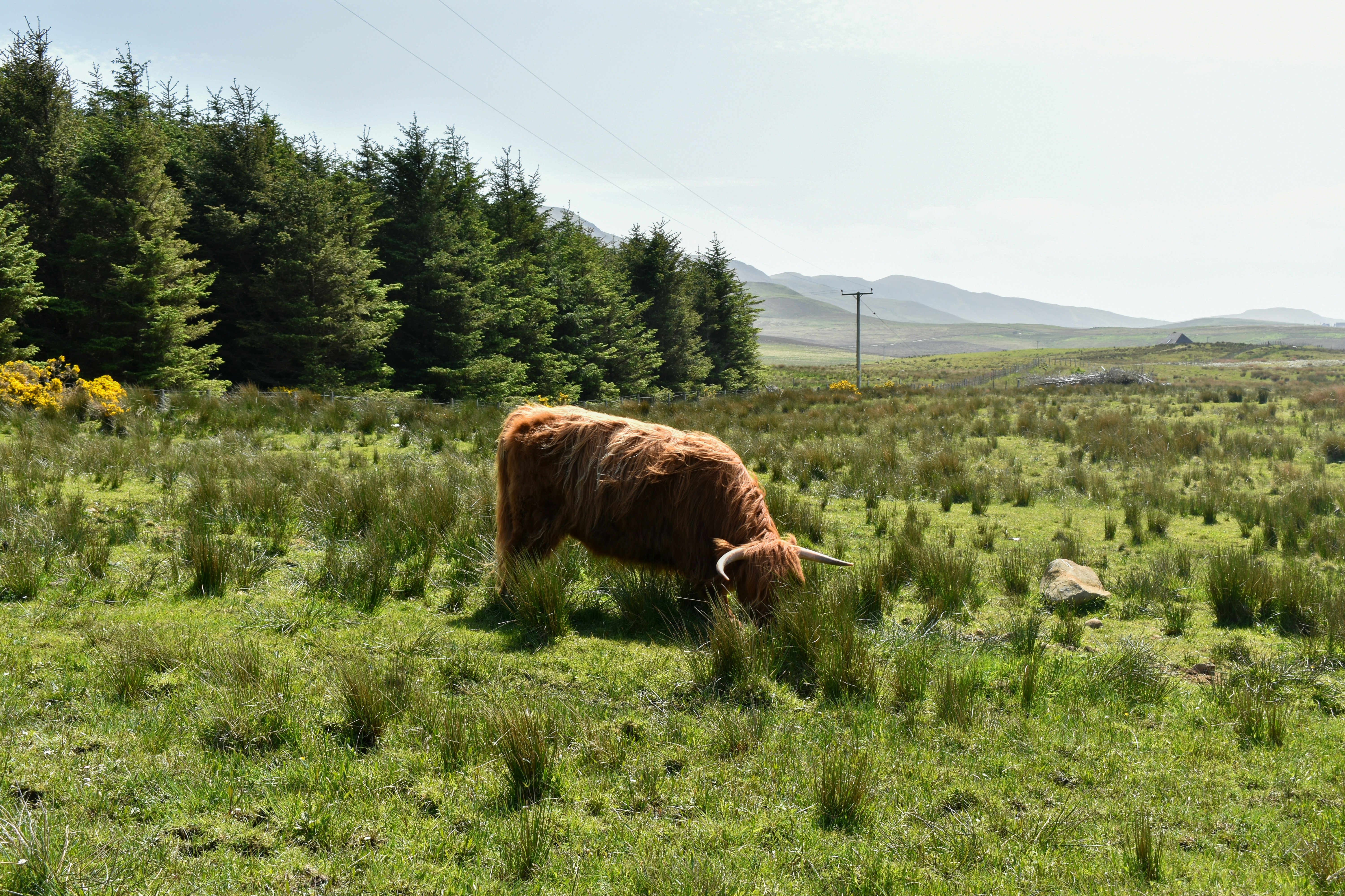 Photo by vergmeister