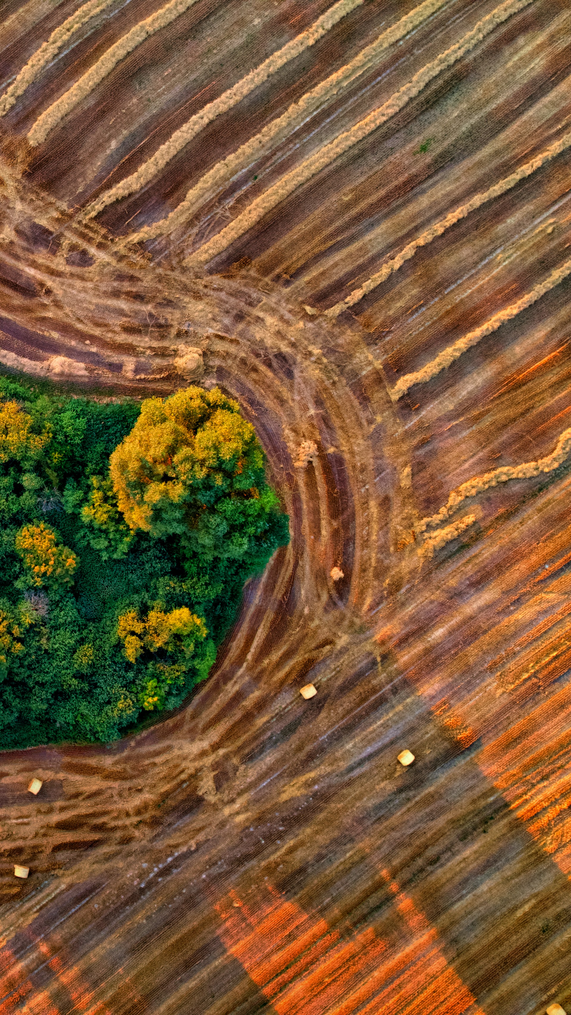 an aerial view of a plowed field