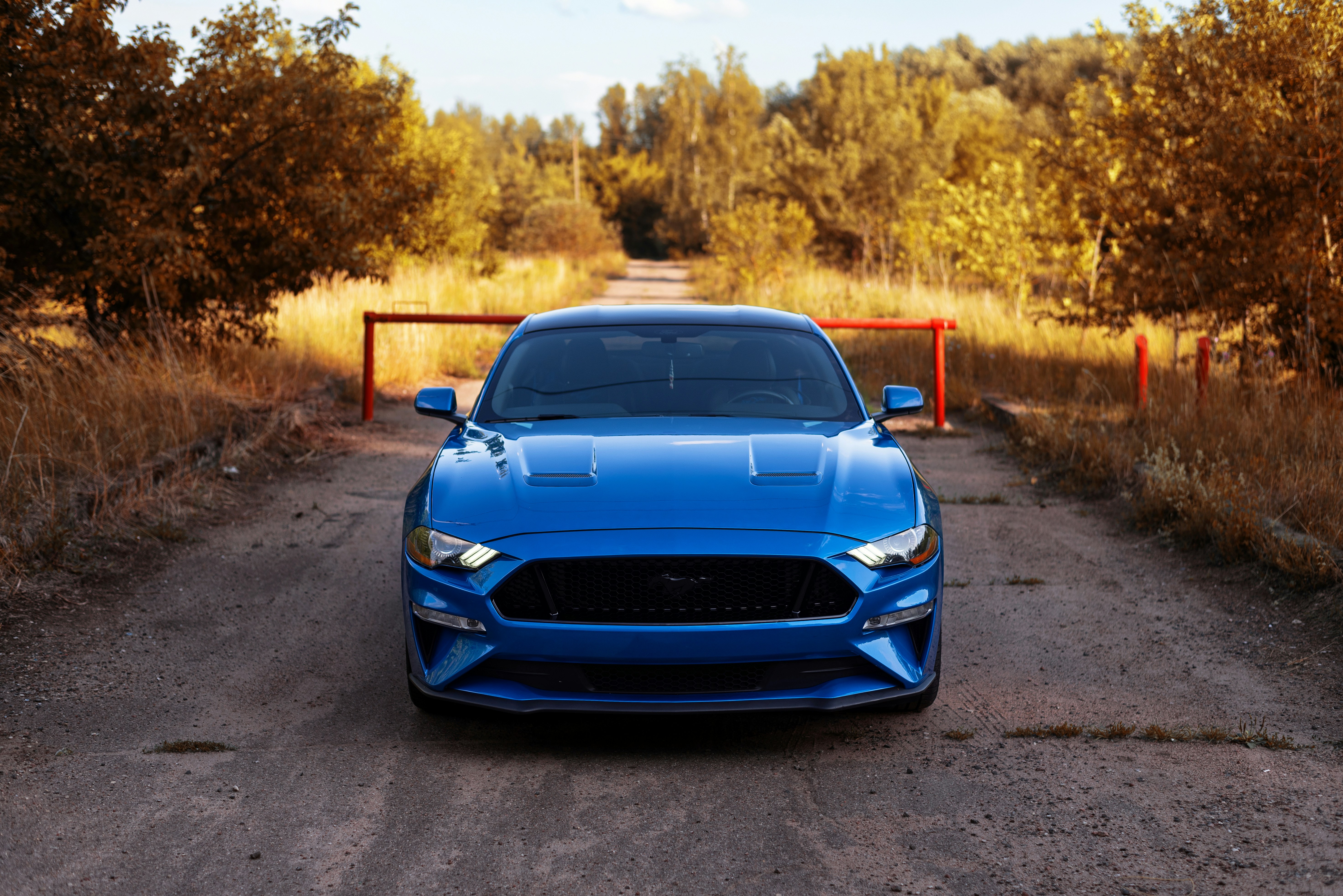 Photo by vadutskevich