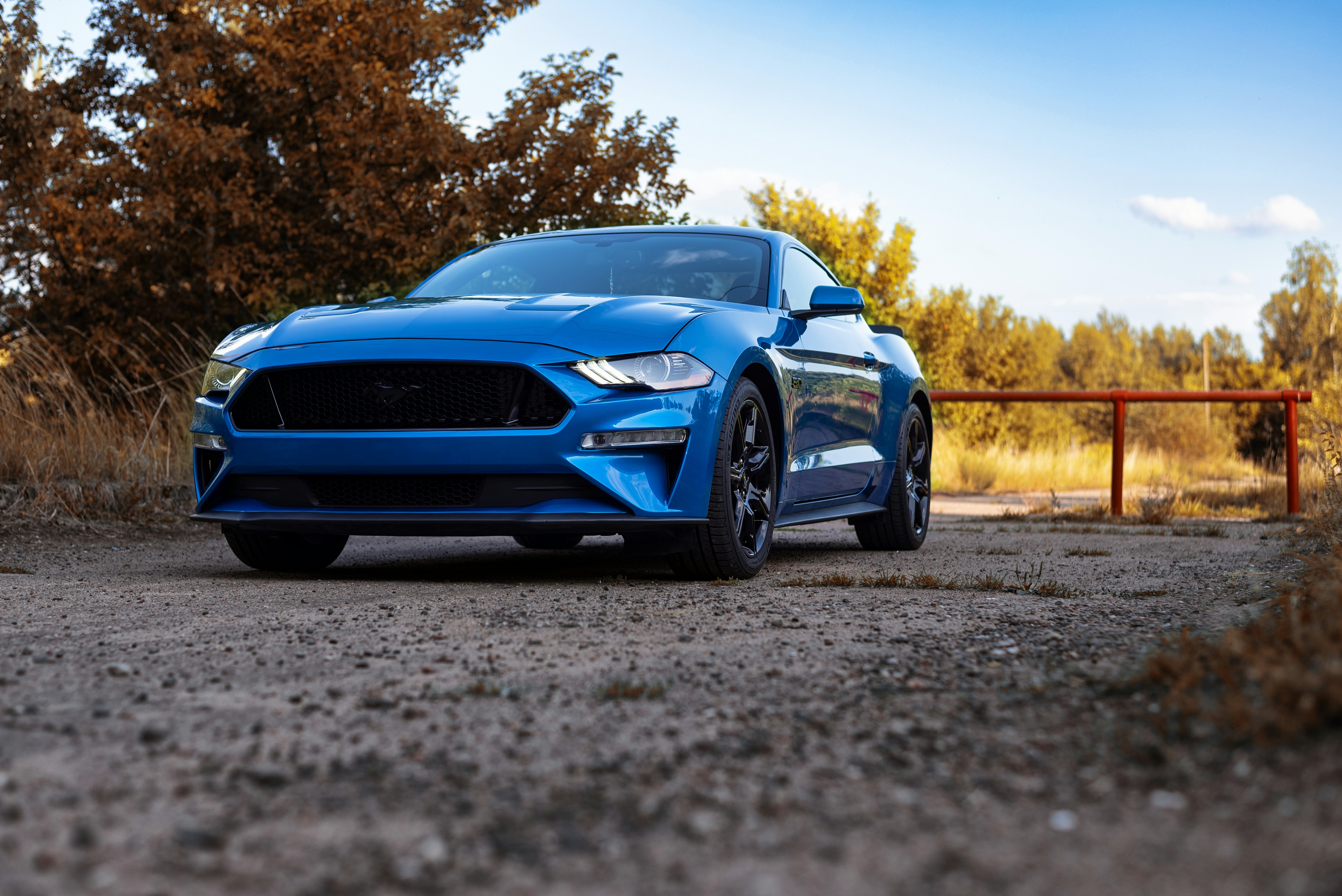 Photo by vadutskevich