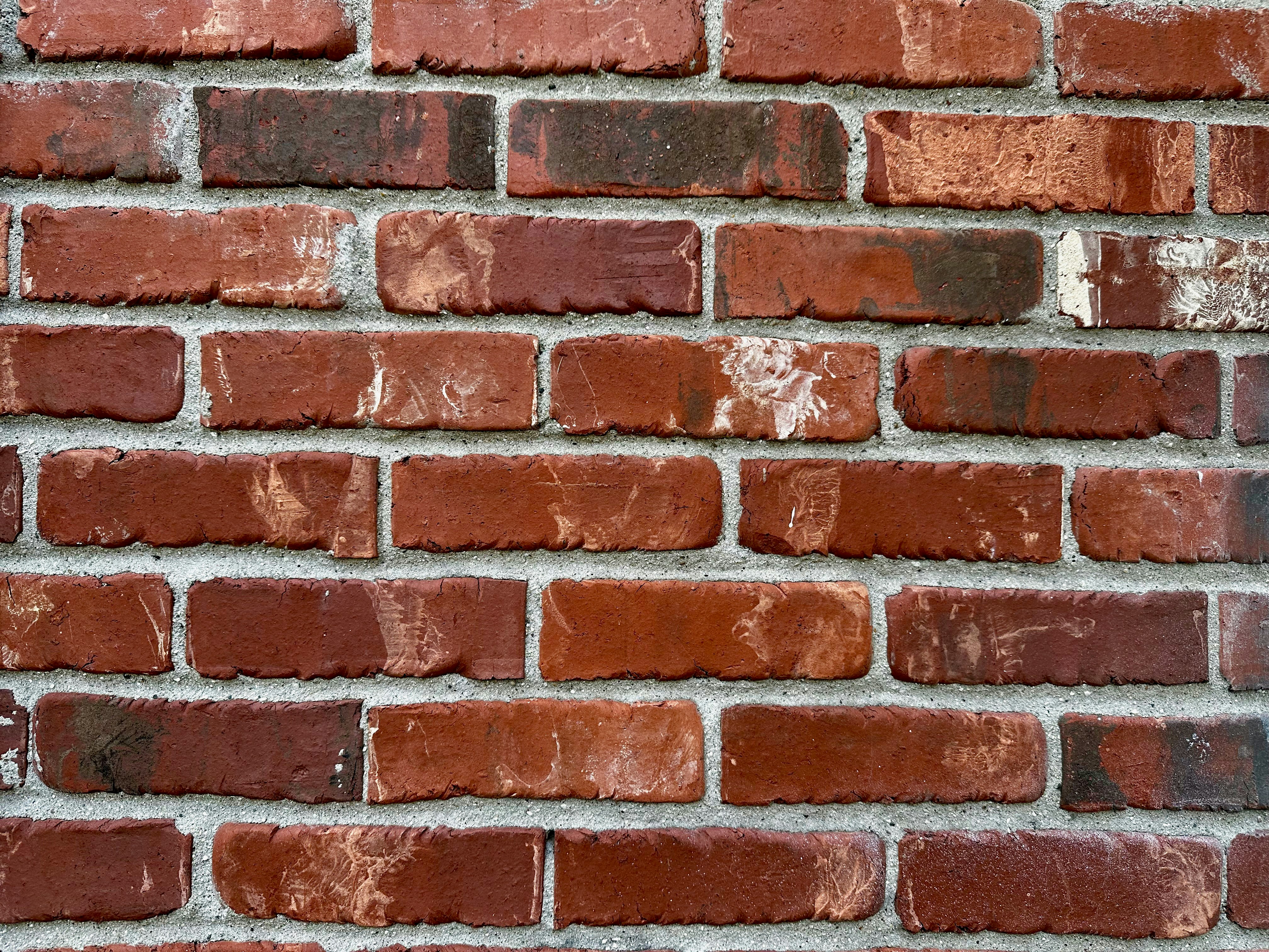 Photo by midkiffaries