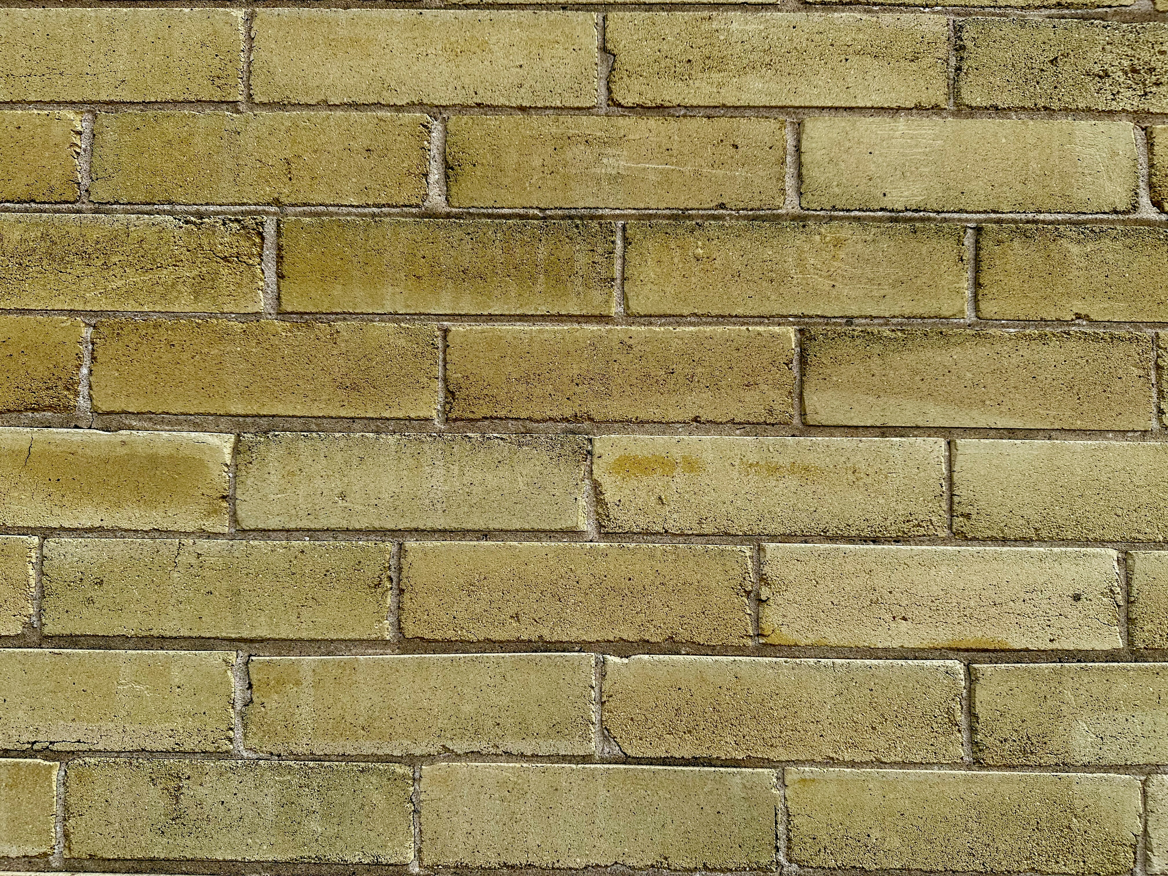 Photo by midkiffaries